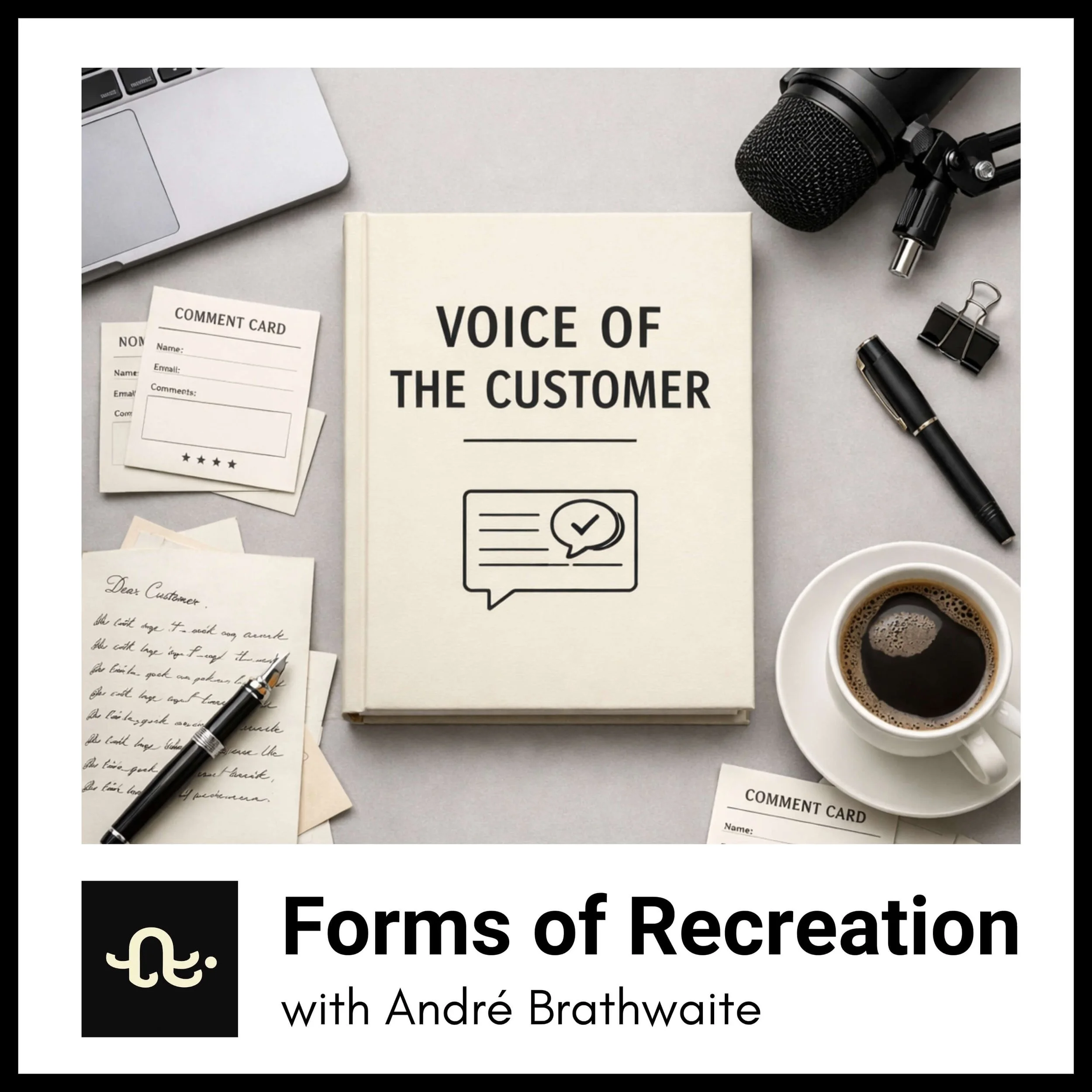 Introducing → Voice of the Customer