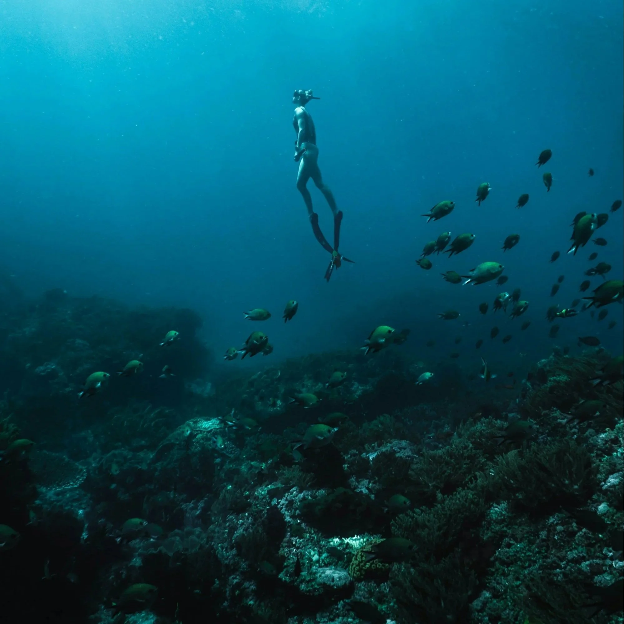 Scuba Diving