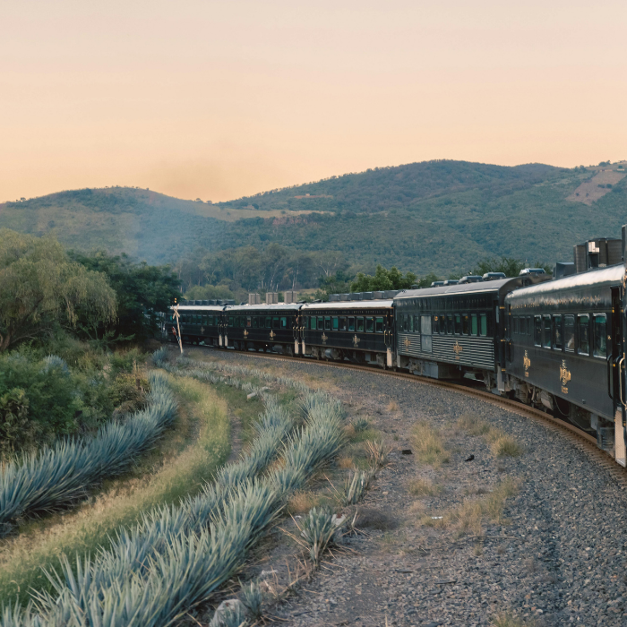 Jose Cuervo Express Train