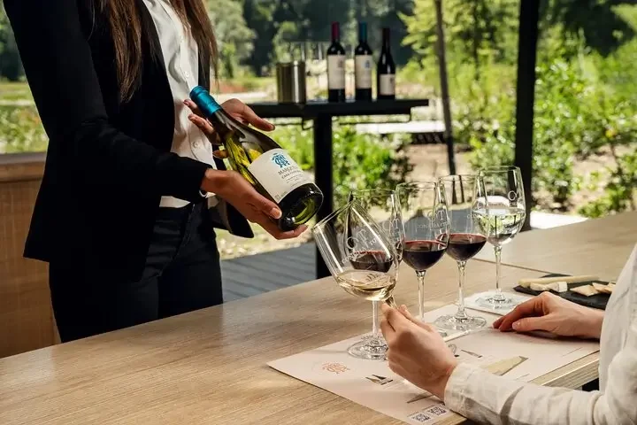 Wine Enthusiasts → In-Person Activities by Concha y Toro®