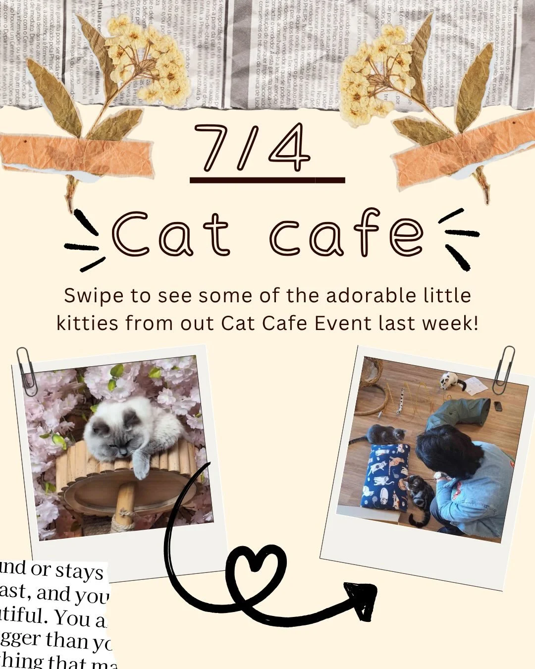 Last week we had the pleasure of going to @eggyolk_catlounge for our Mid-Sem Break Senpai Event. The only thing anime nerds love more than anime is cats. (DISCLAIMER: Not Fact Checked but I think if they don&rsquo;t agree they are the problem.) 🔥 

