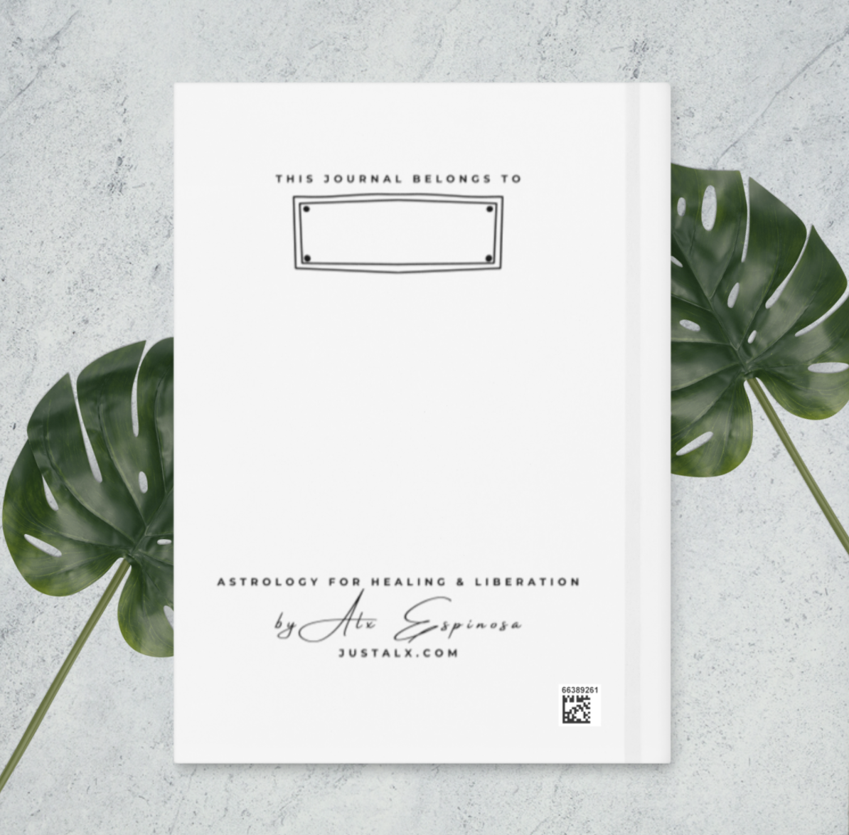 Screenshot 2026-01-10 at 3.03.45 PM.png