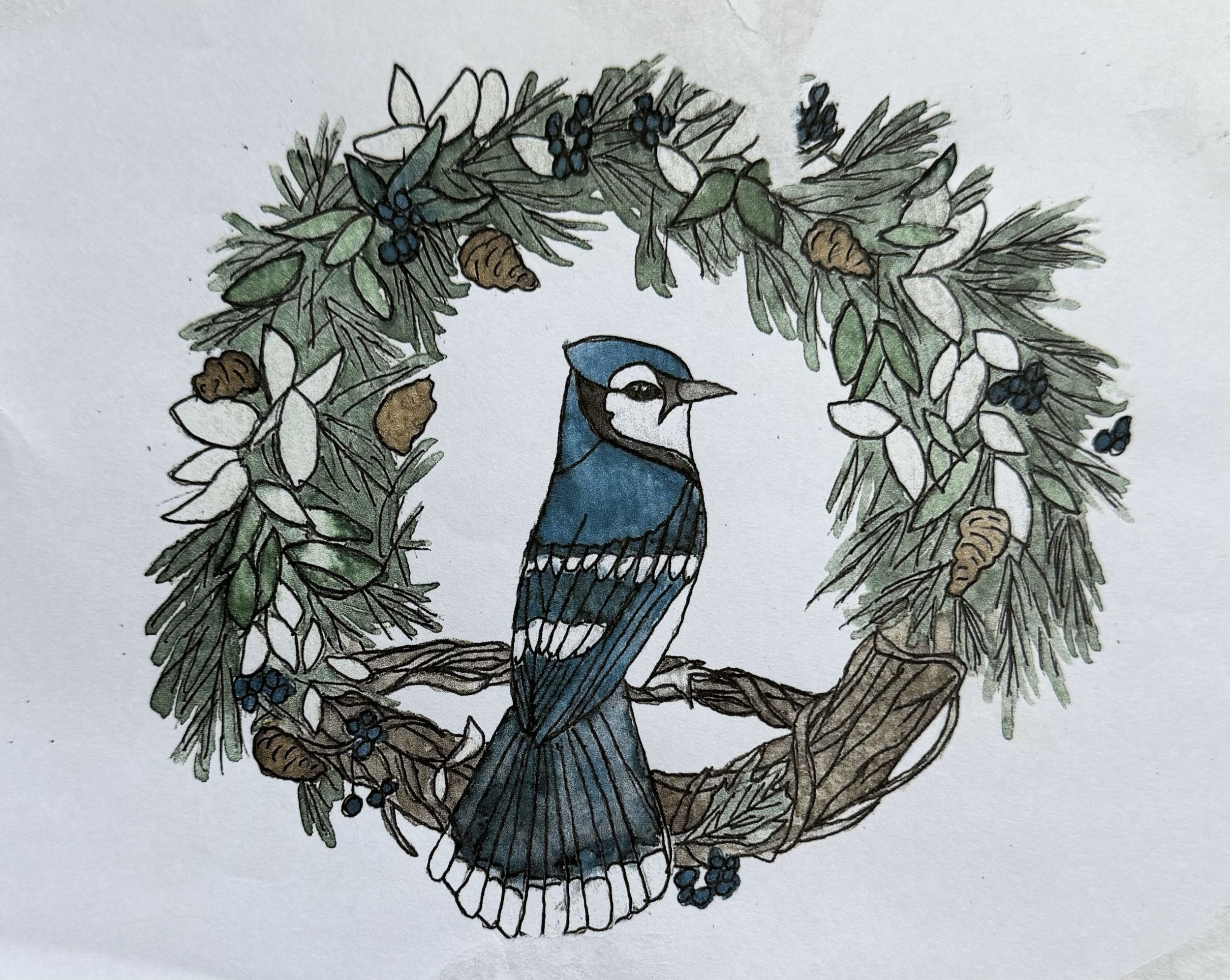 January Jay - Watercolor