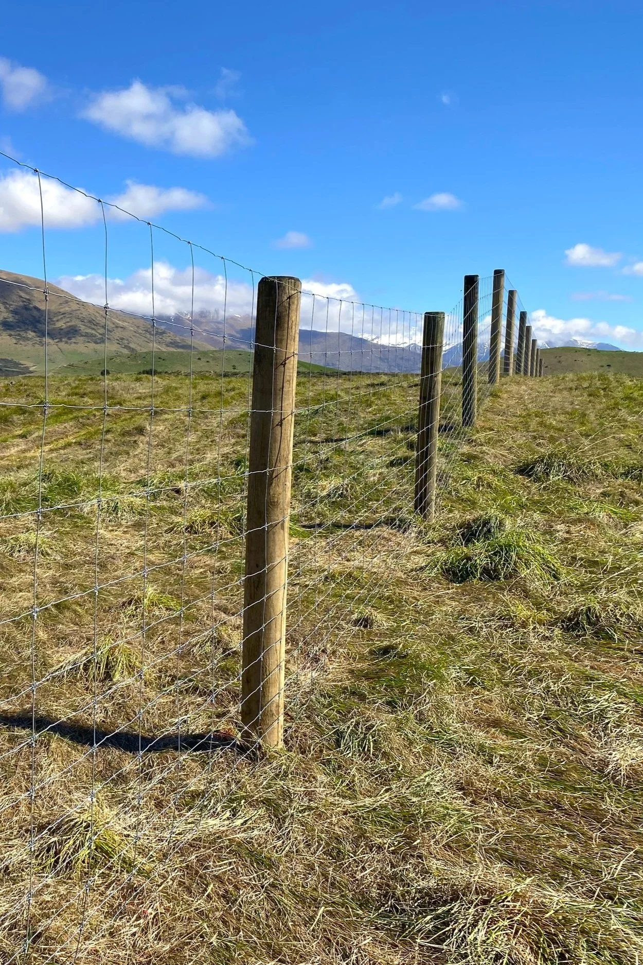 Deer Fencing 2 edit.jpg