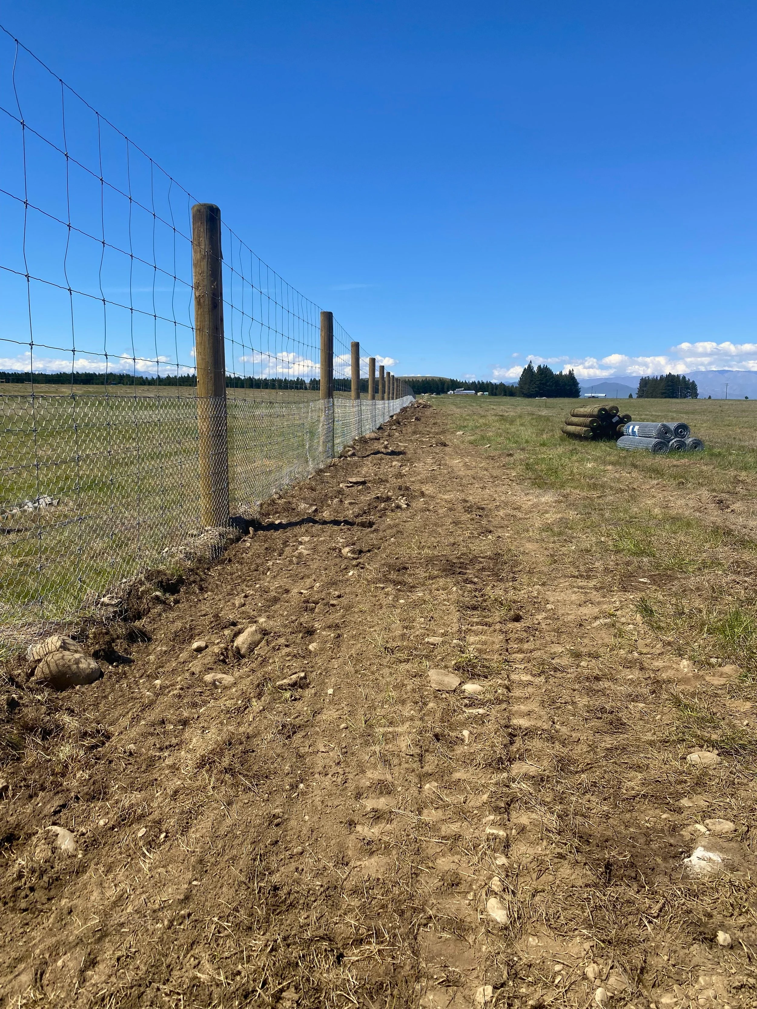 Deer Fencing with Rabbit Netting in ground 2 edit.jpg