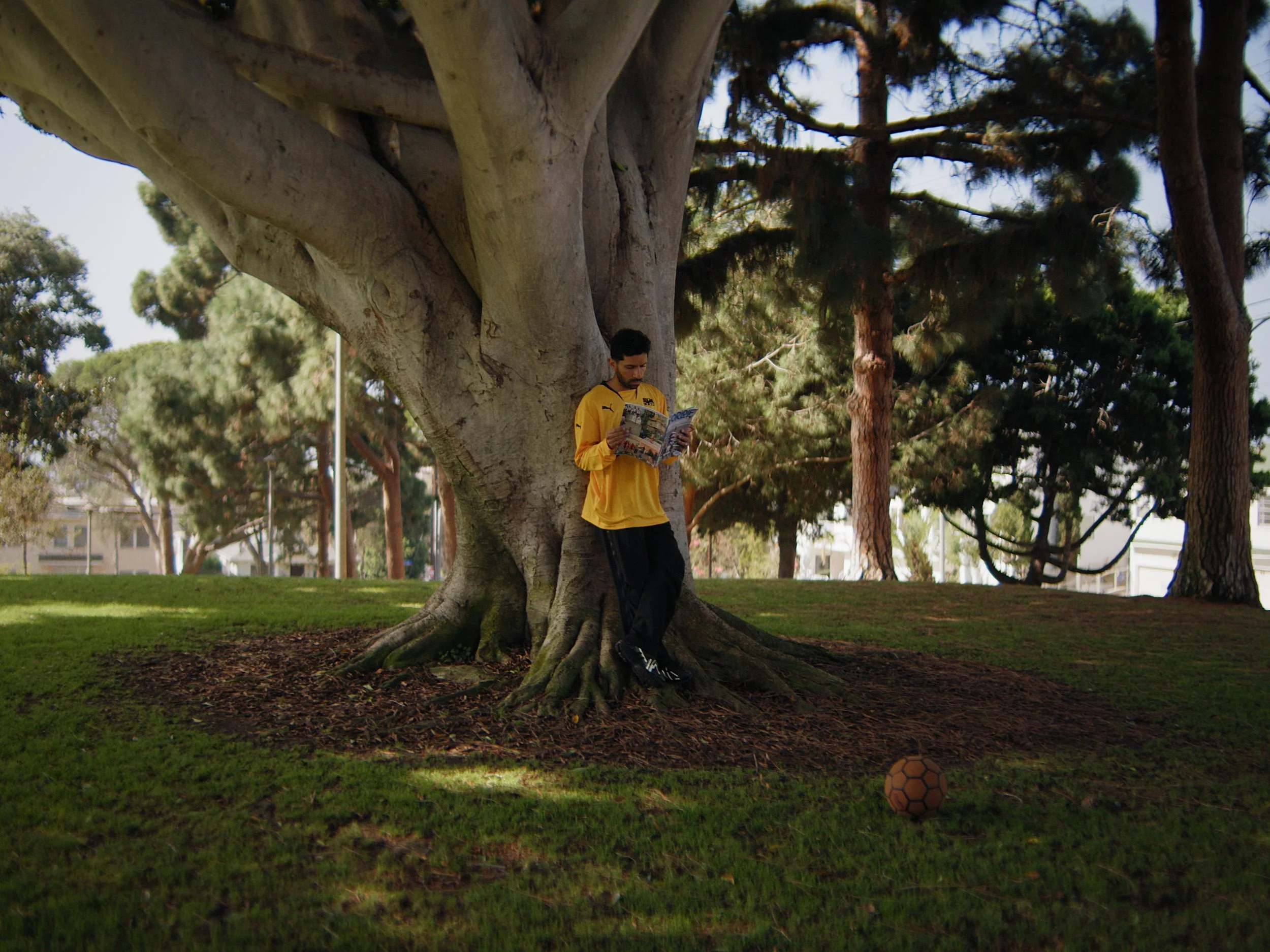 A man in a yellow sports jersey stands under a large tree, reading a newspaper, with a soccer ball on the grass nearby in a park.
