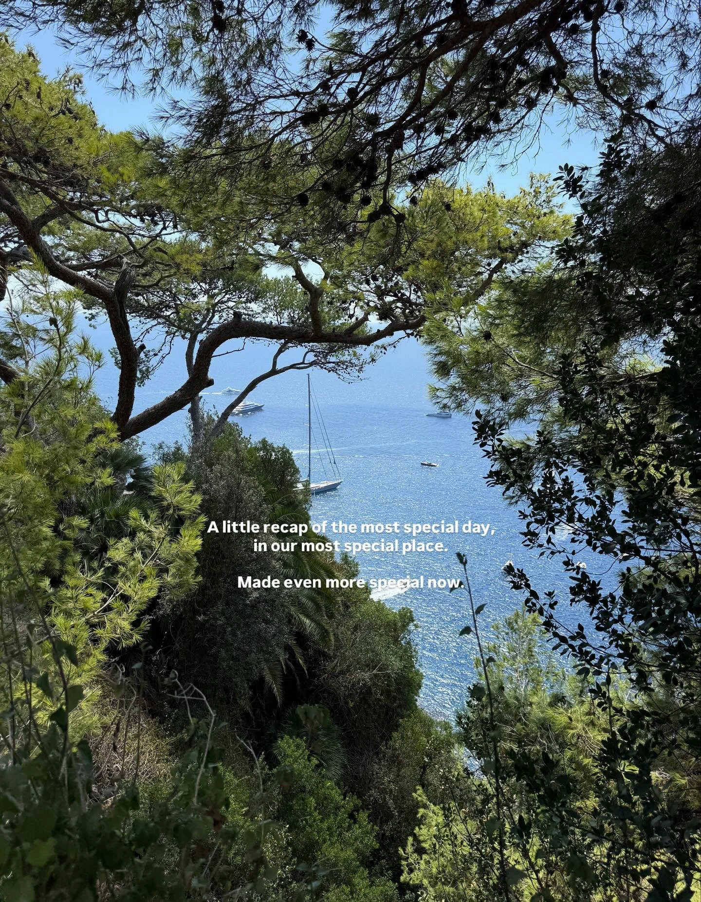 The photo diary etched in my brain forever 💘