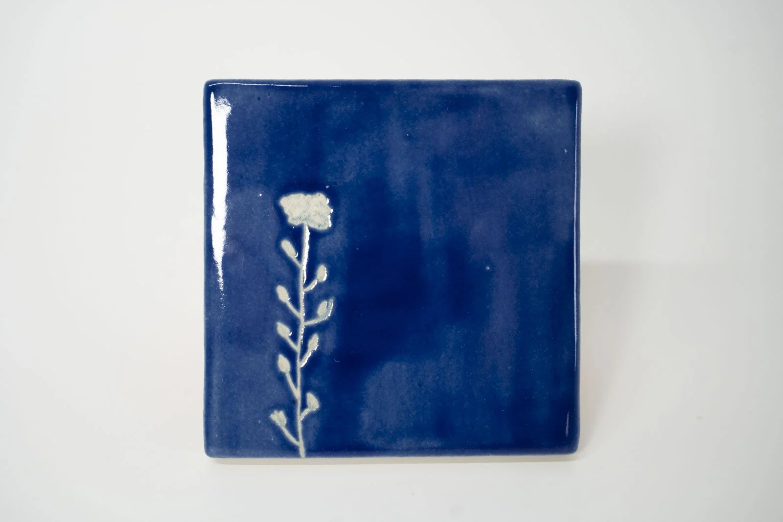cyanotype-blue-02.jpg