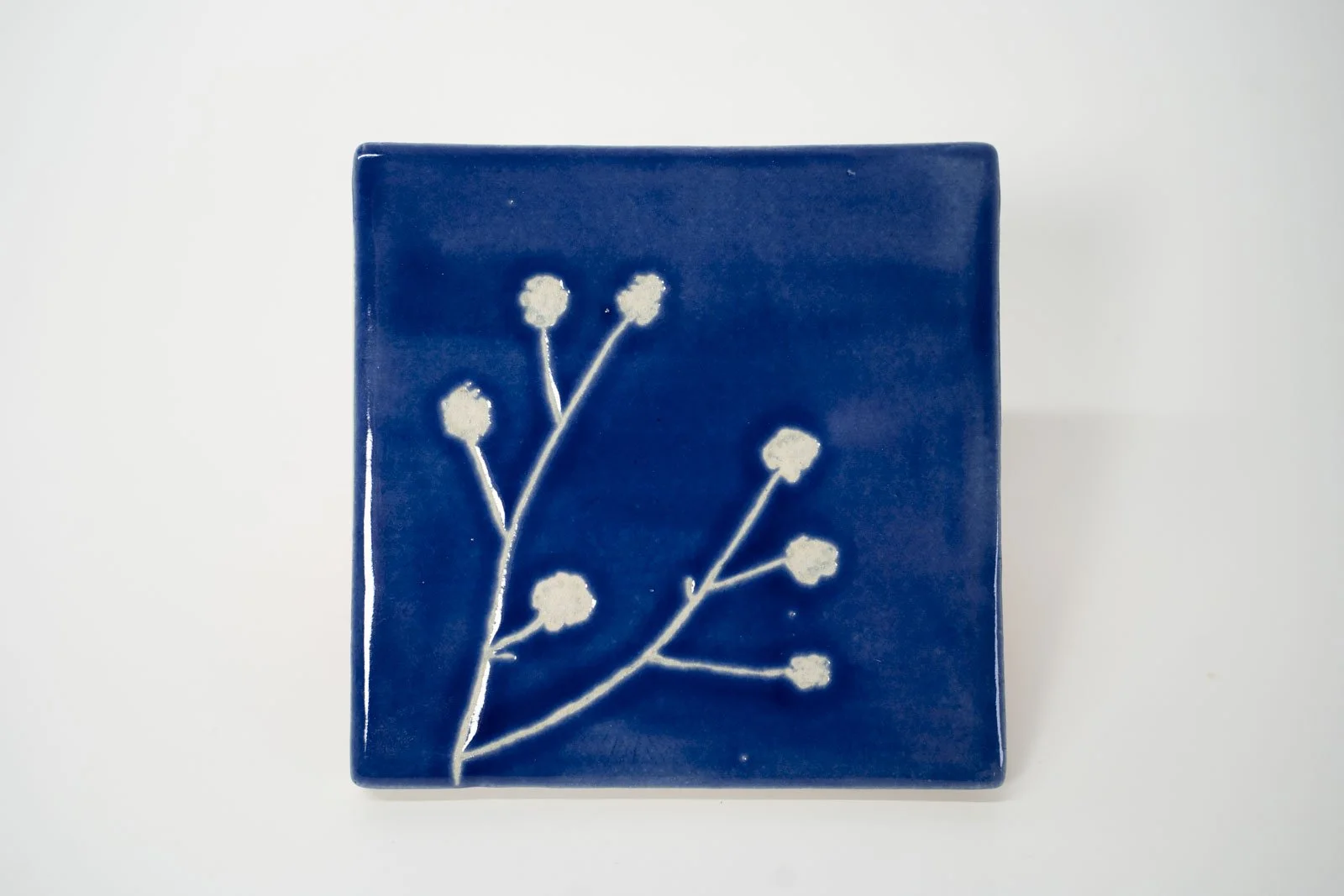 cyanotype-blue-03.jpg