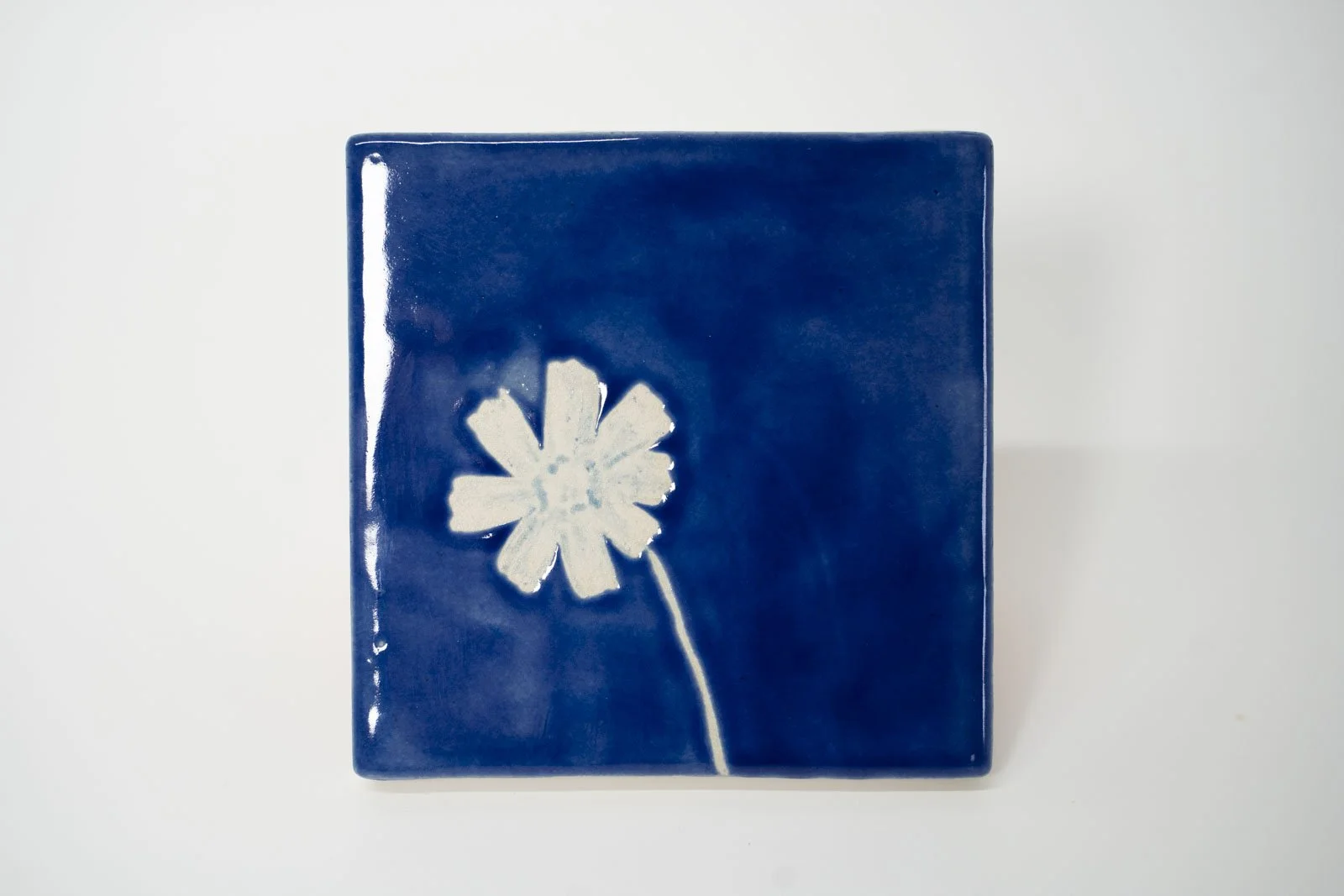cyanotype-blue-01.jpg