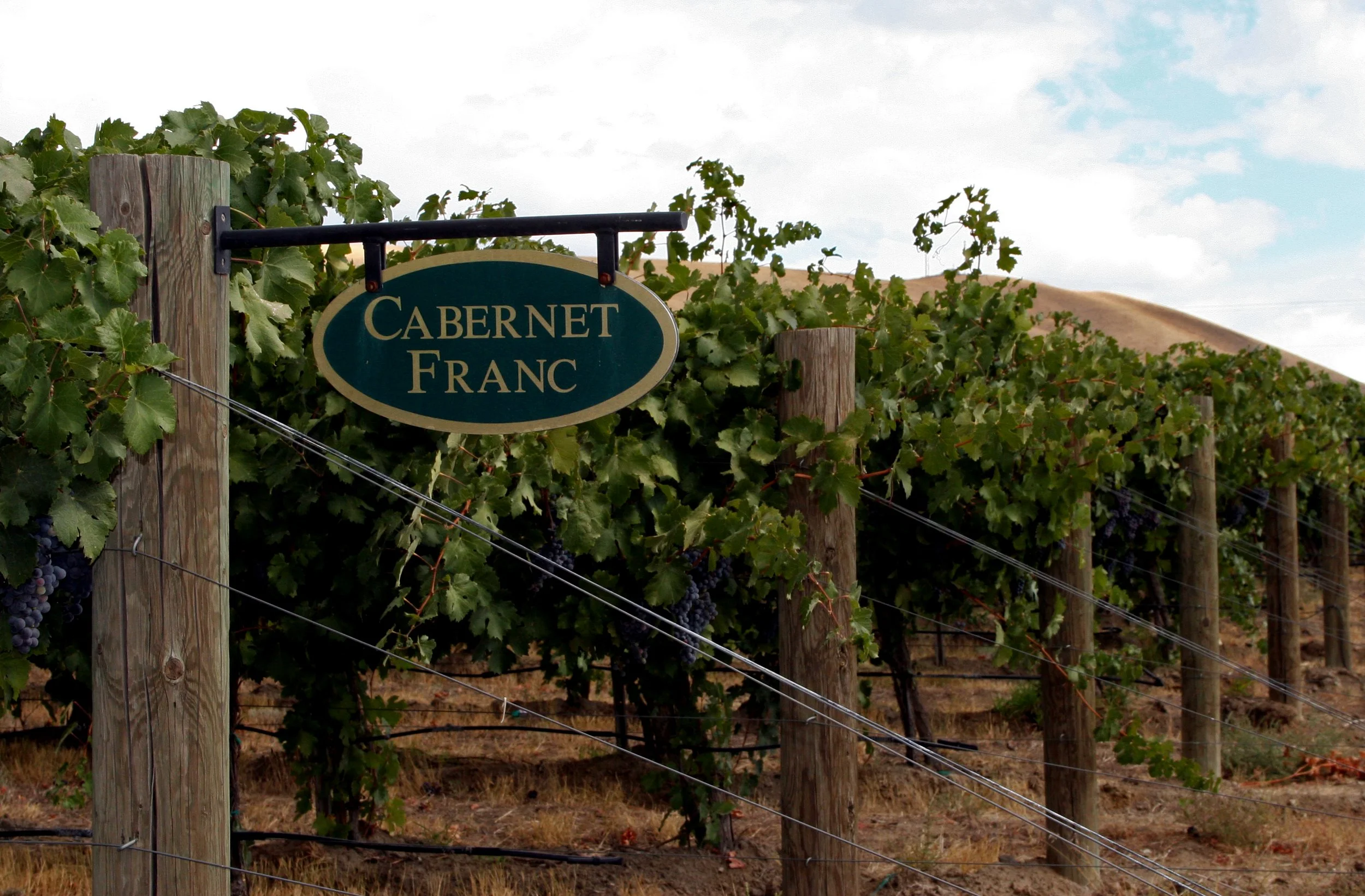 Hedges Cab Franc.jpg