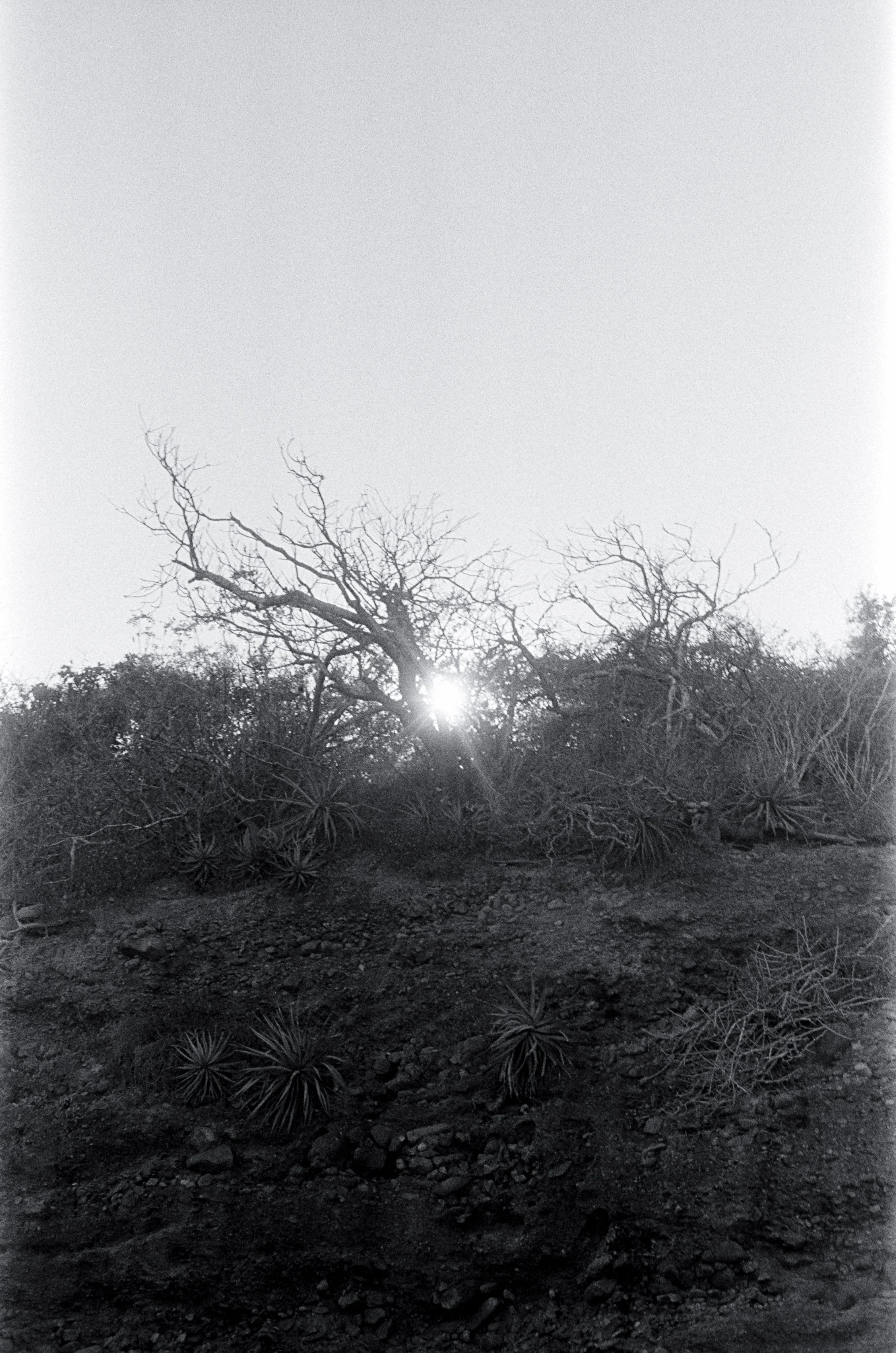 20220104-705043_k400tx_27.jpg