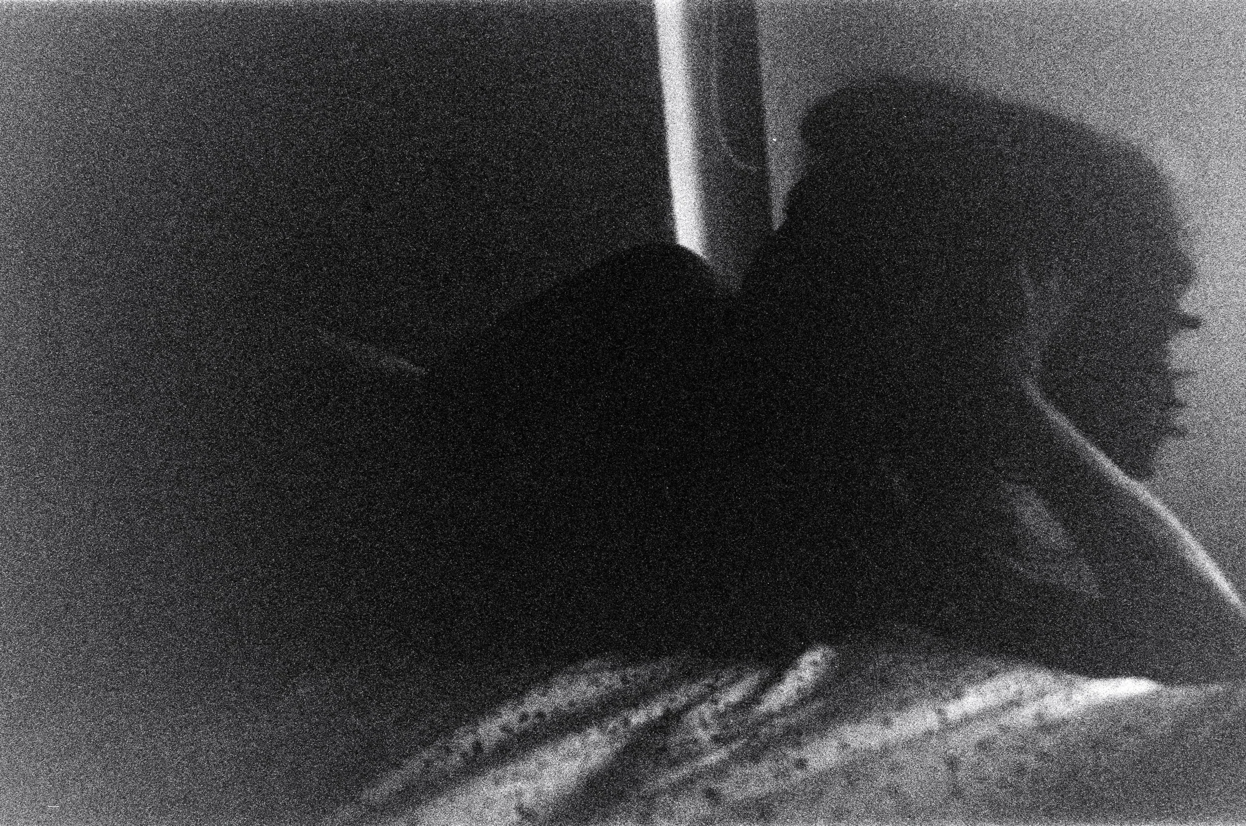 20211213-705011_k400tx_33.jpg