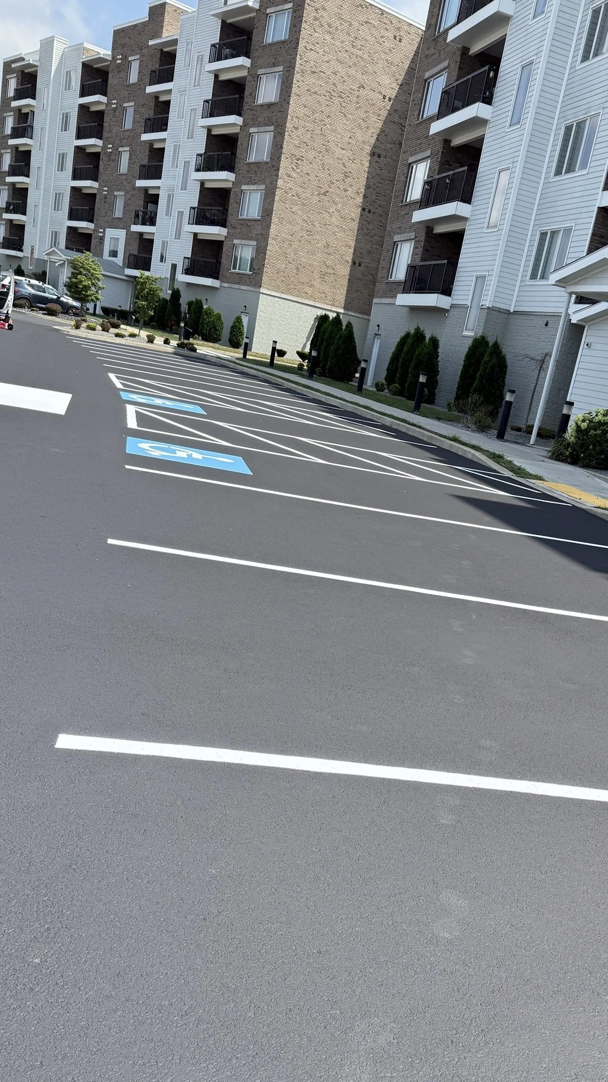 Empty parking lot with designated accessible parking spaces marked in blue with wheelchair symbols in front of a residential building with shrubs and a sidewalk.