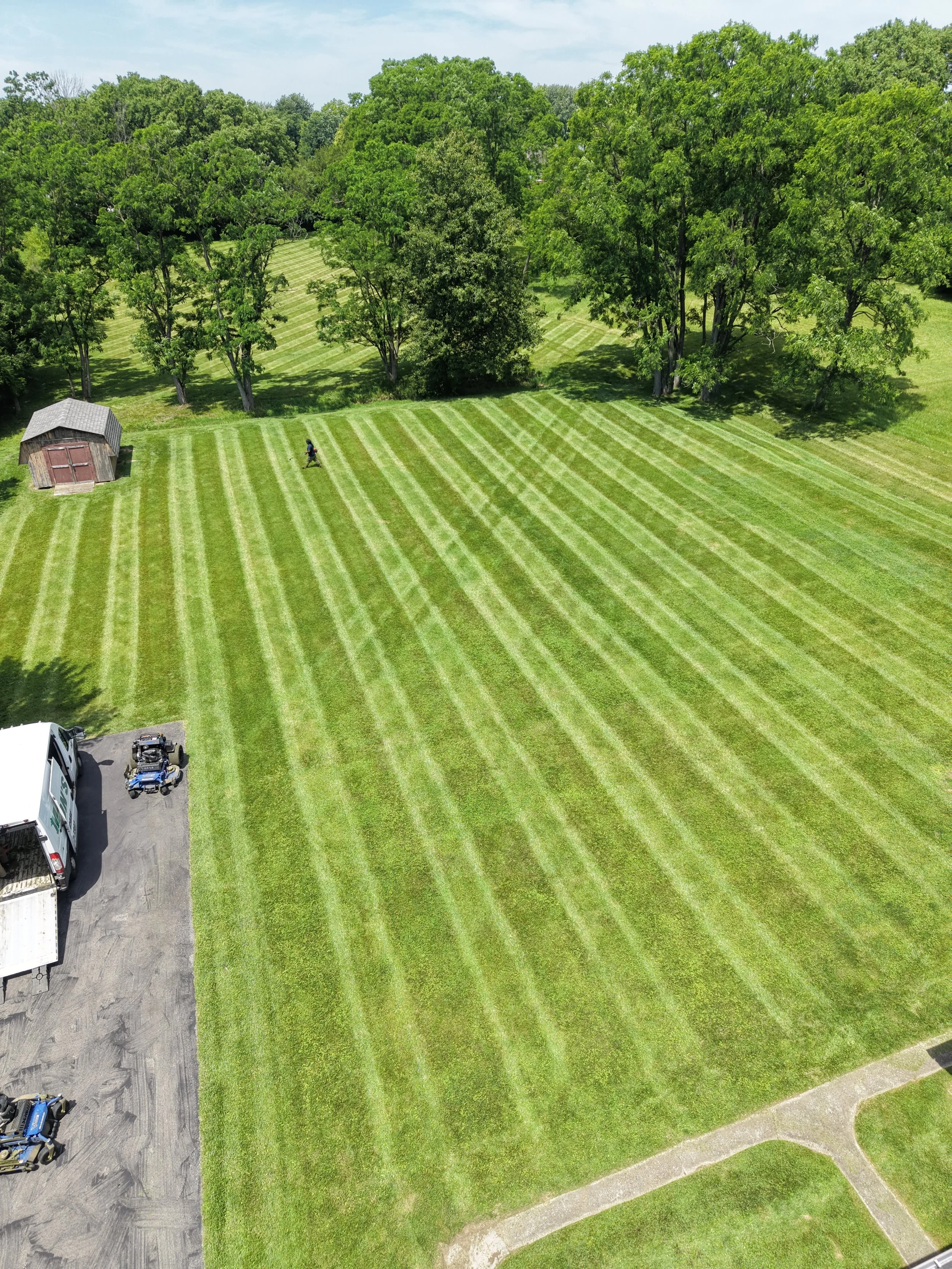 Aerial view of a freshly mowed striped lawn with mature trees, a small shed, landscaping equipment, and a person walking across the grass.