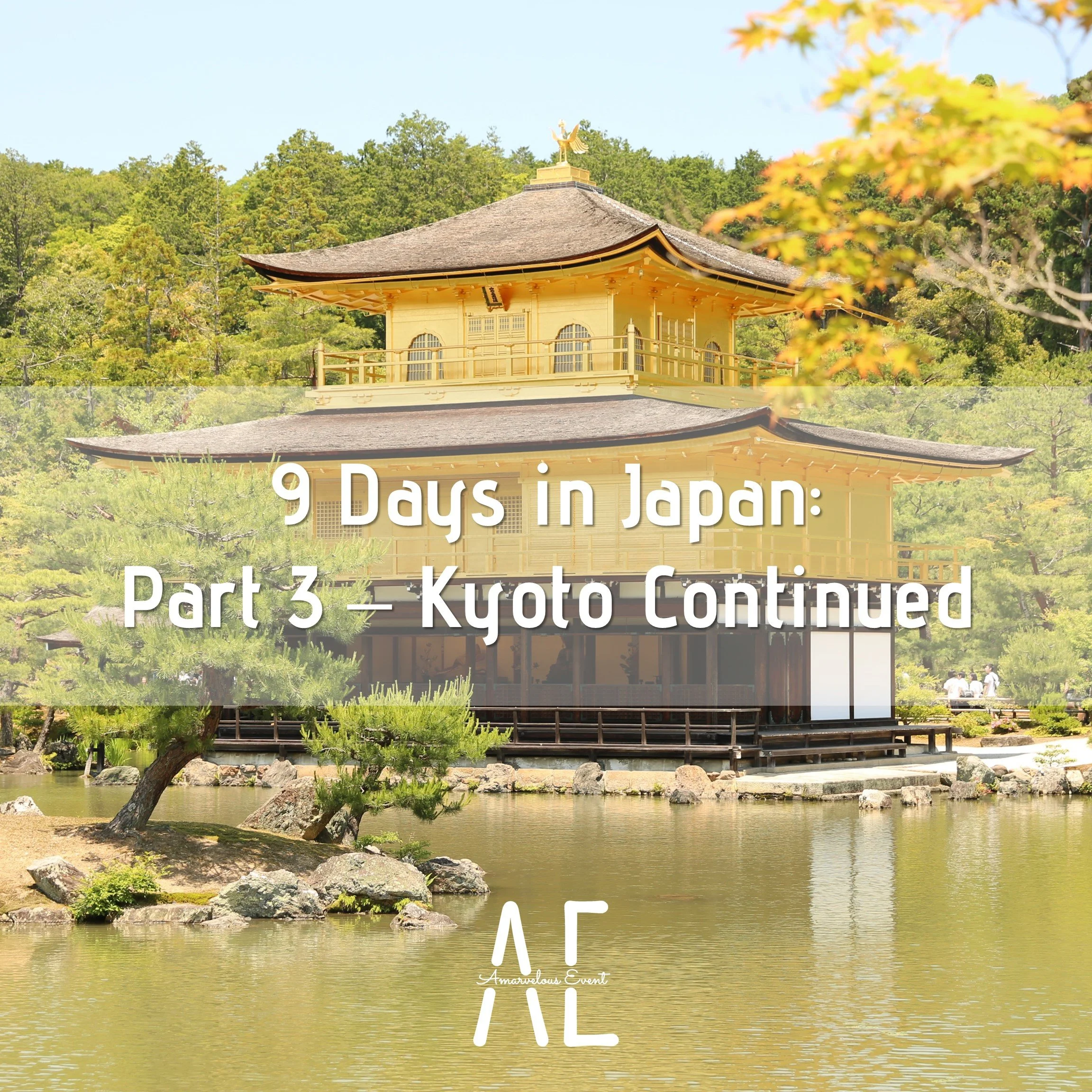 9 Days in Japan: Part 3 - Kyoto Continued