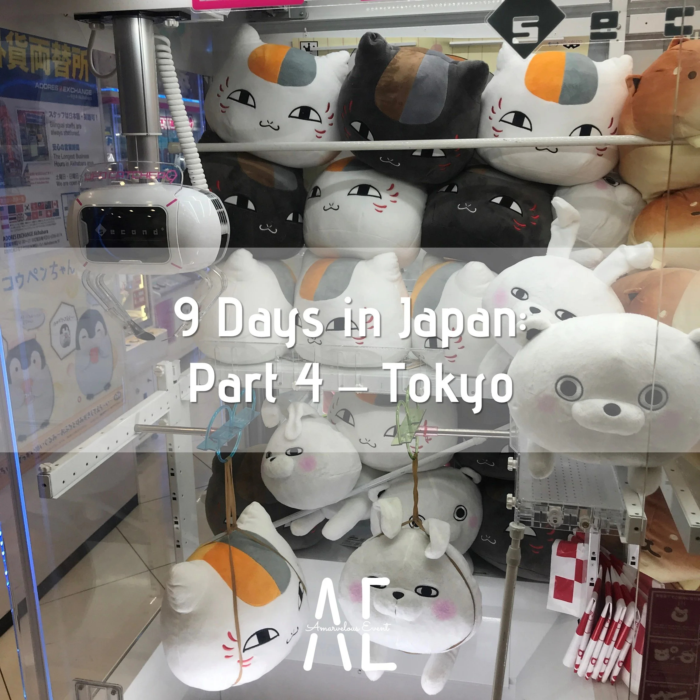 9 Days in Japan: Part 4 - Tokyo
