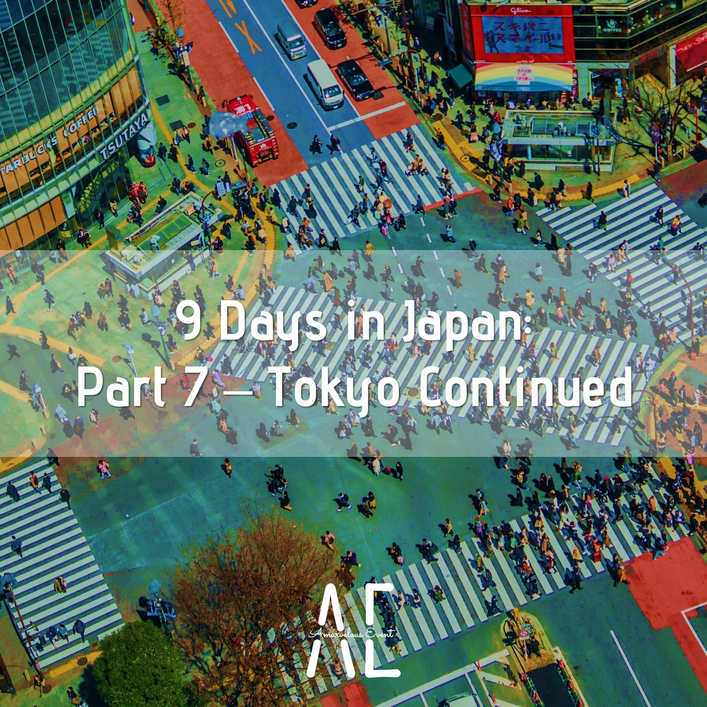 9 Days in Japan: Part 7 – Tokyo Continued