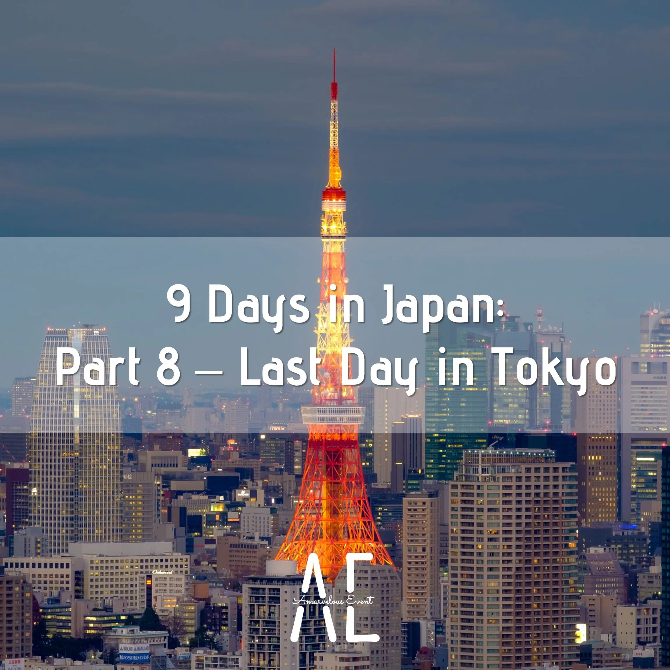 9 Days in Japan: Part 8 – Last Day in Tokyo