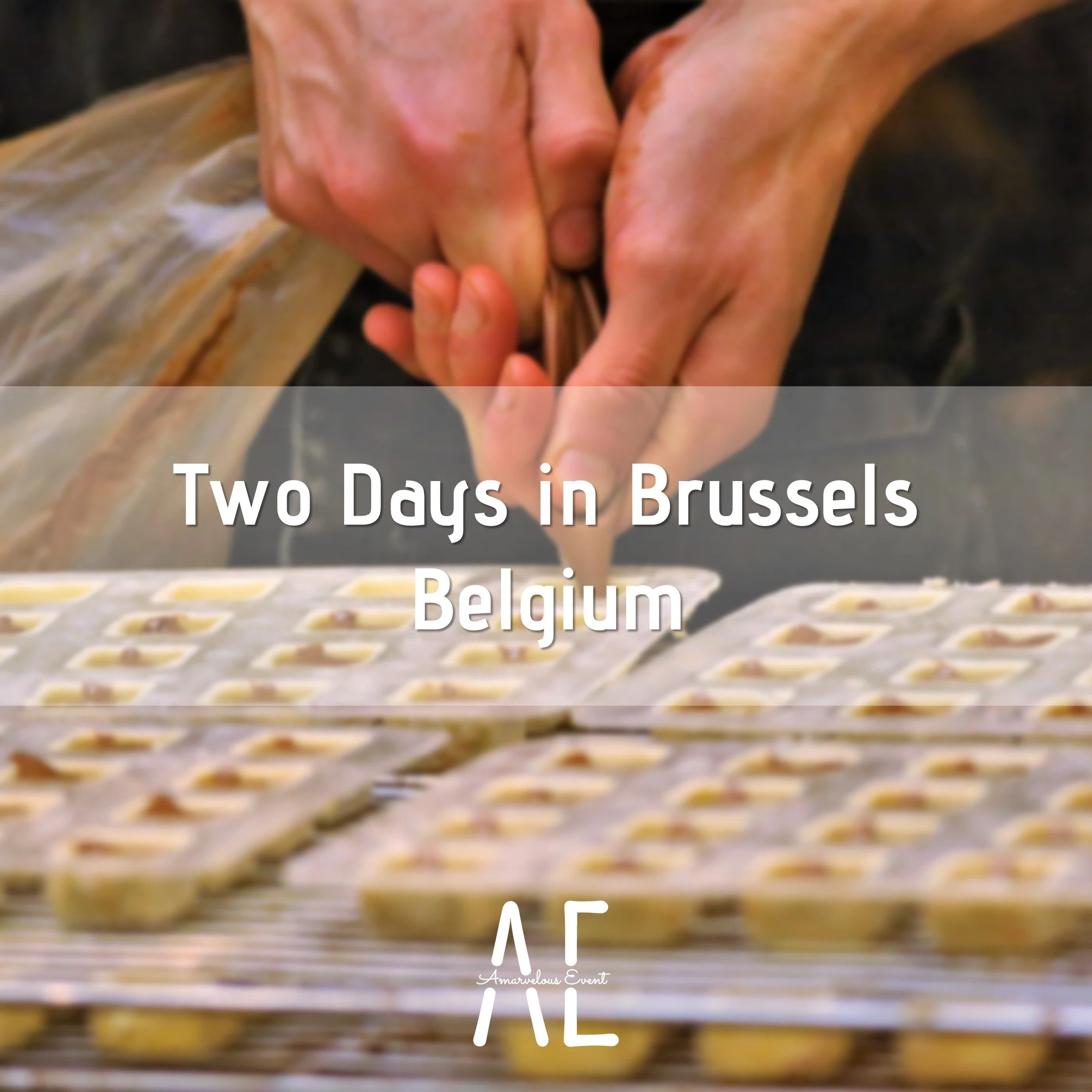 Two Days in Brussels, Belgium