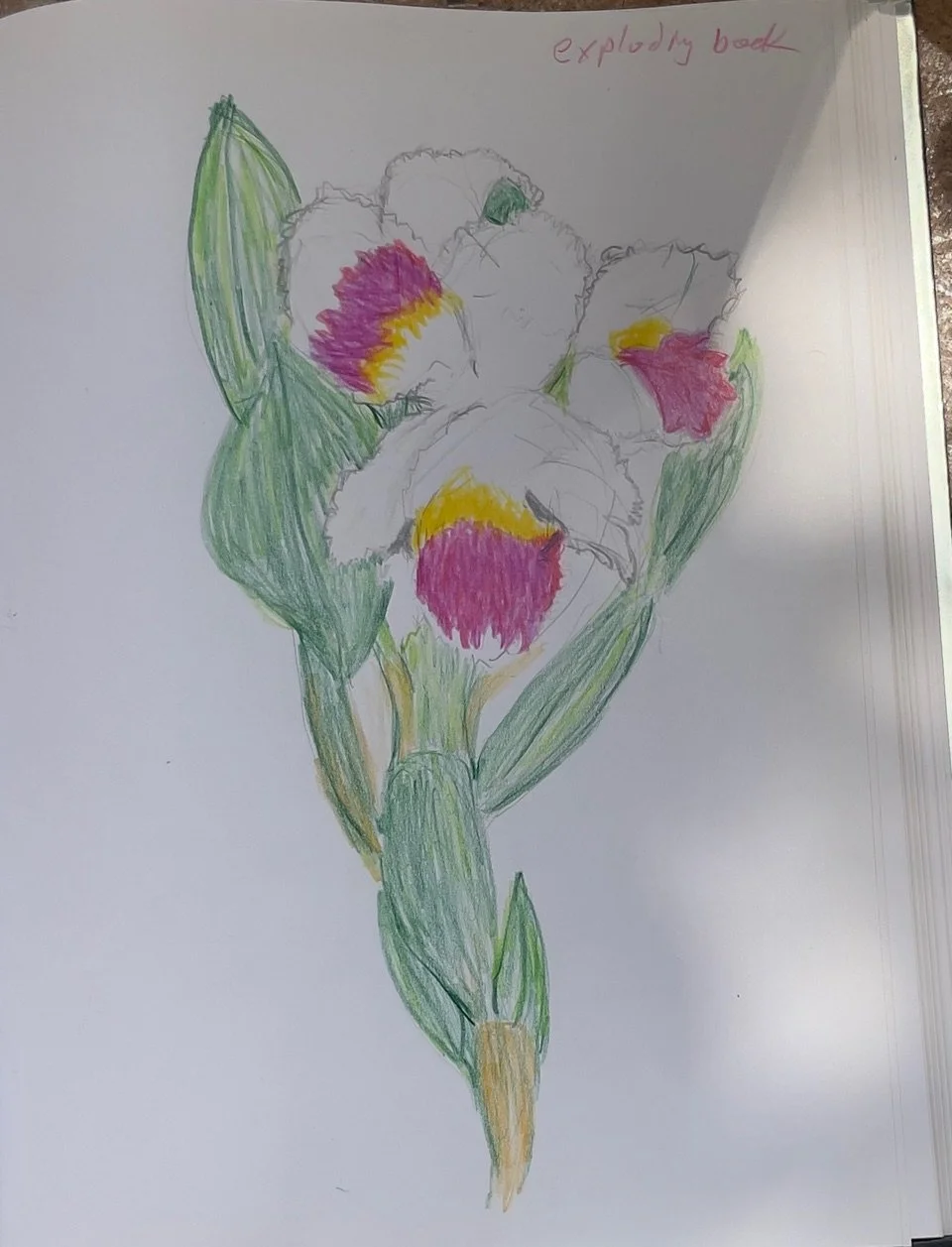 Ellis South - Flowers and Color Mixing