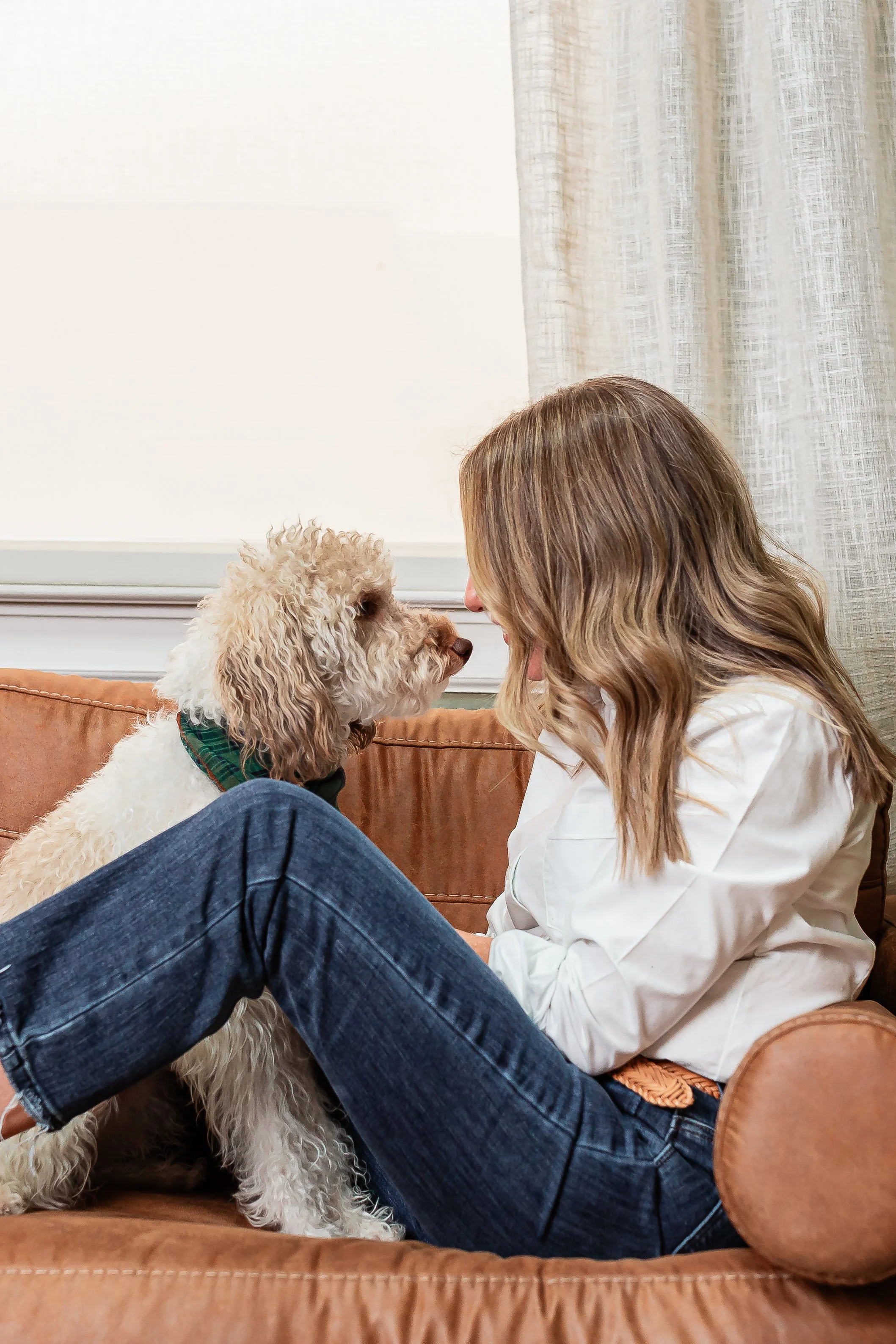 Therapy dog in counseling office providing comfort and support