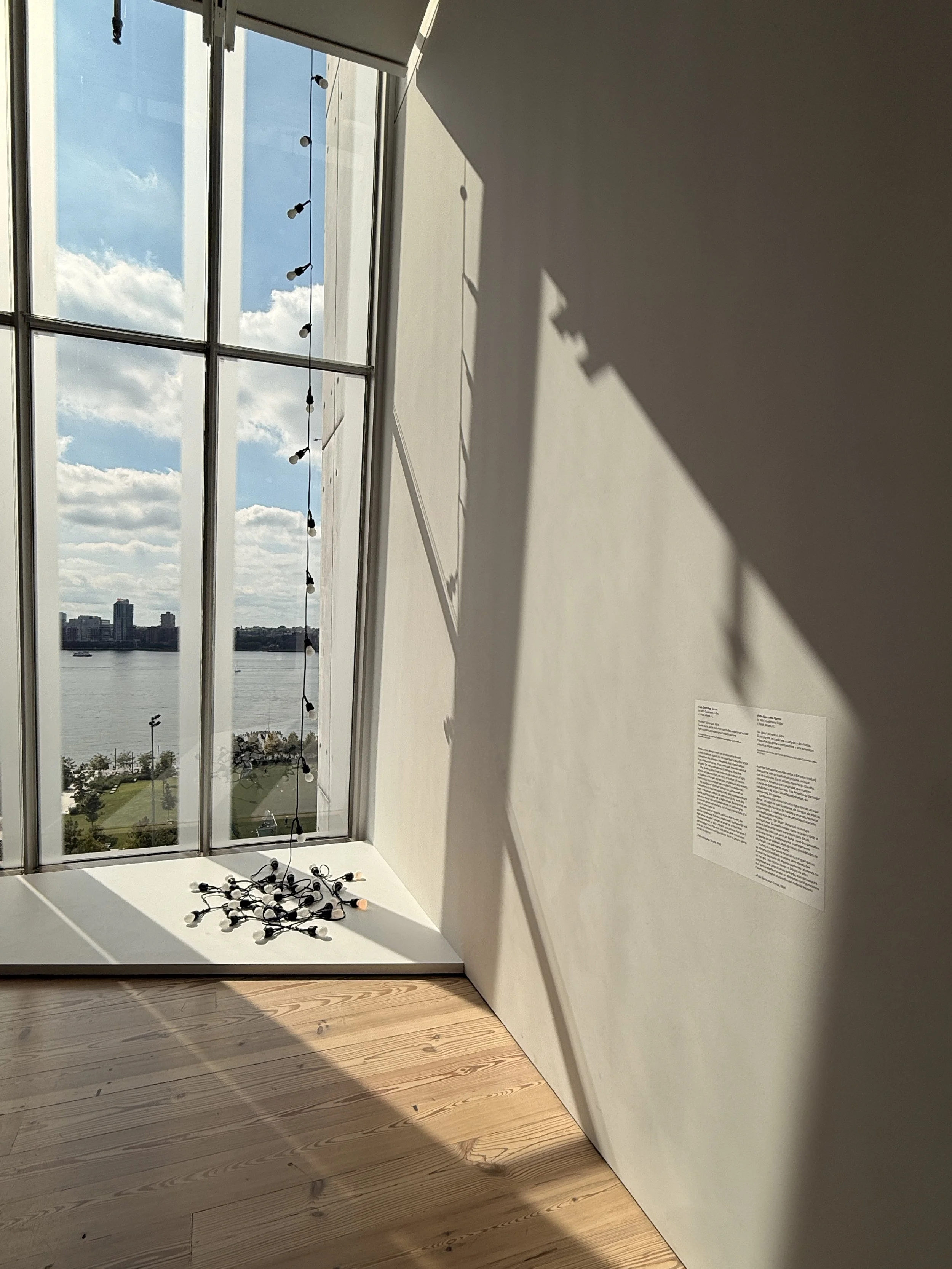 The Whitney was only supposed to take an hour