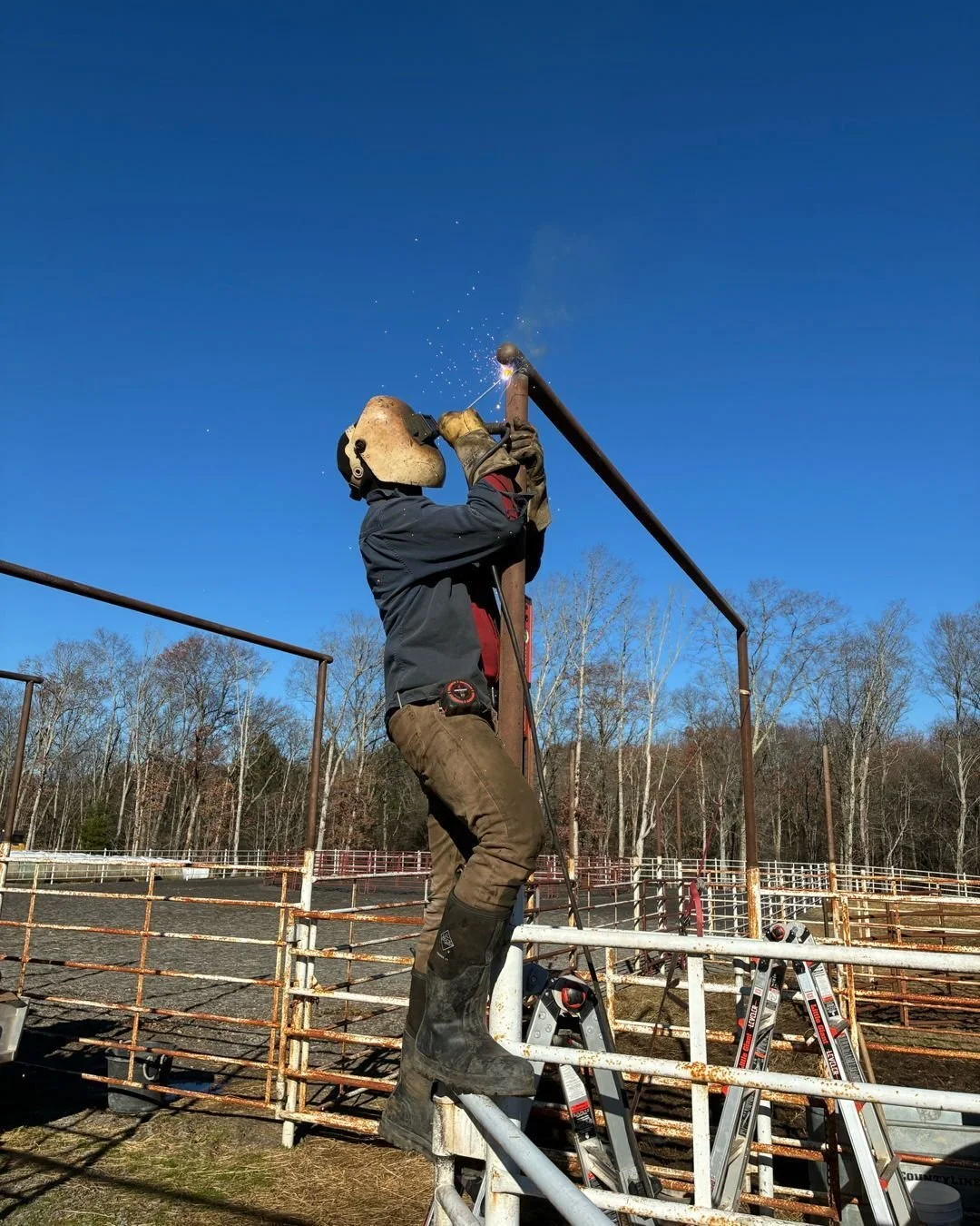 Cattle fence and gate archways. Support local beef!! Call anytime for a quote.  Do it once, do it right. Miracle Welding.