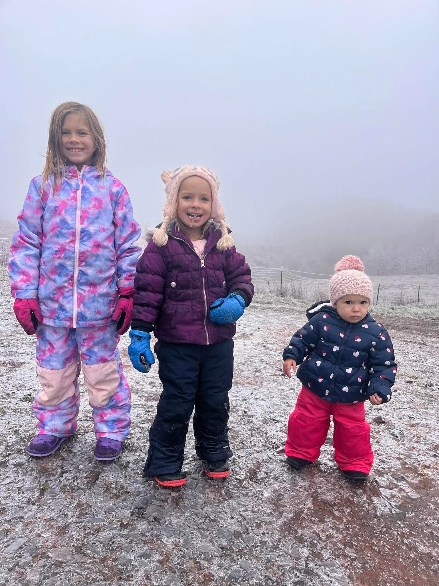 My 3 stooges. Watch out for the little one. Shes a gangster, not from the hood, but from the hollow.