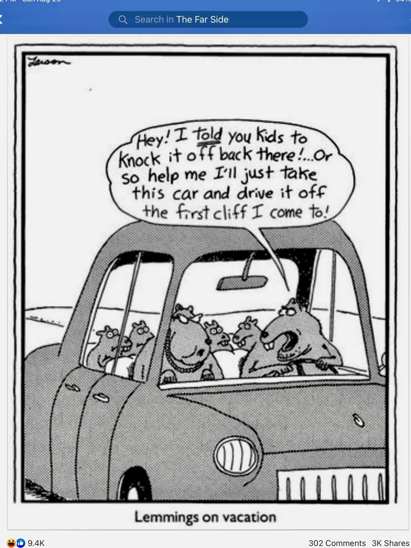 Almost time for our annual family road trip to Florida. Looks like we have alot in common with the lemming family! Except we have a uncle packed in too.