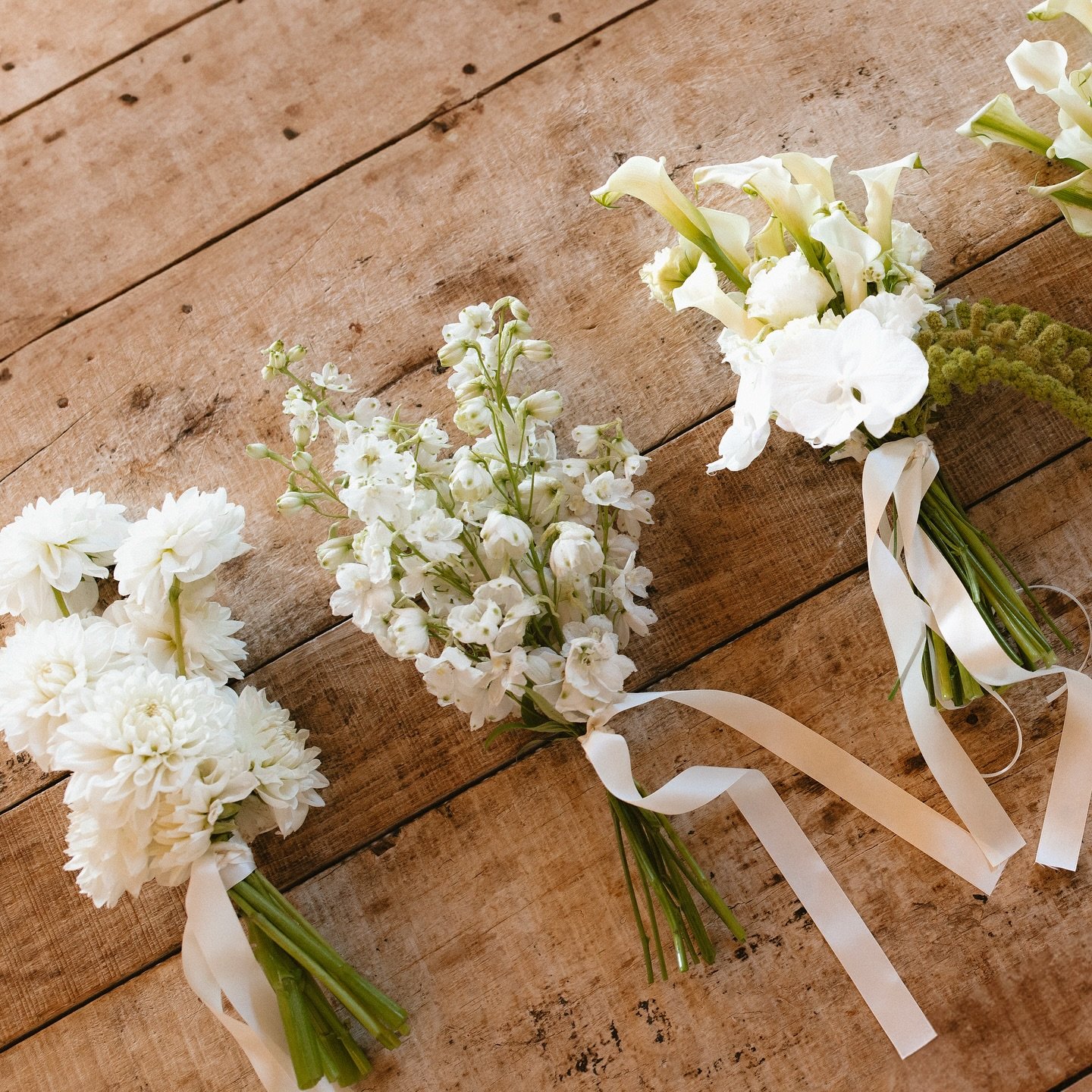 Simple single variety bouquets - let&rsquo;s keep this trend alive 💁&zwj;♀️🙋&zwj;♀️

Venue @worrowing 
Photos @letscapturemedia 

#sydneyflorist #southsydneyflorist #sutherlandshireflorist #flowers #weddingflowers #florals #weddingflorals  #brightf