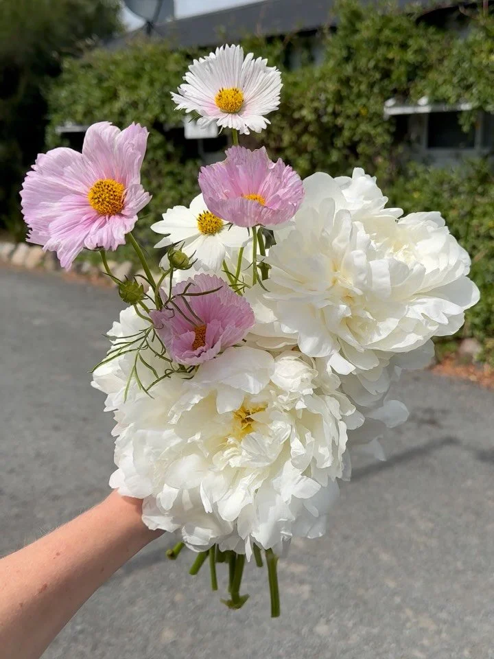 The sweetest bridesmaid bouquets with a pop of colour 🌈🤍