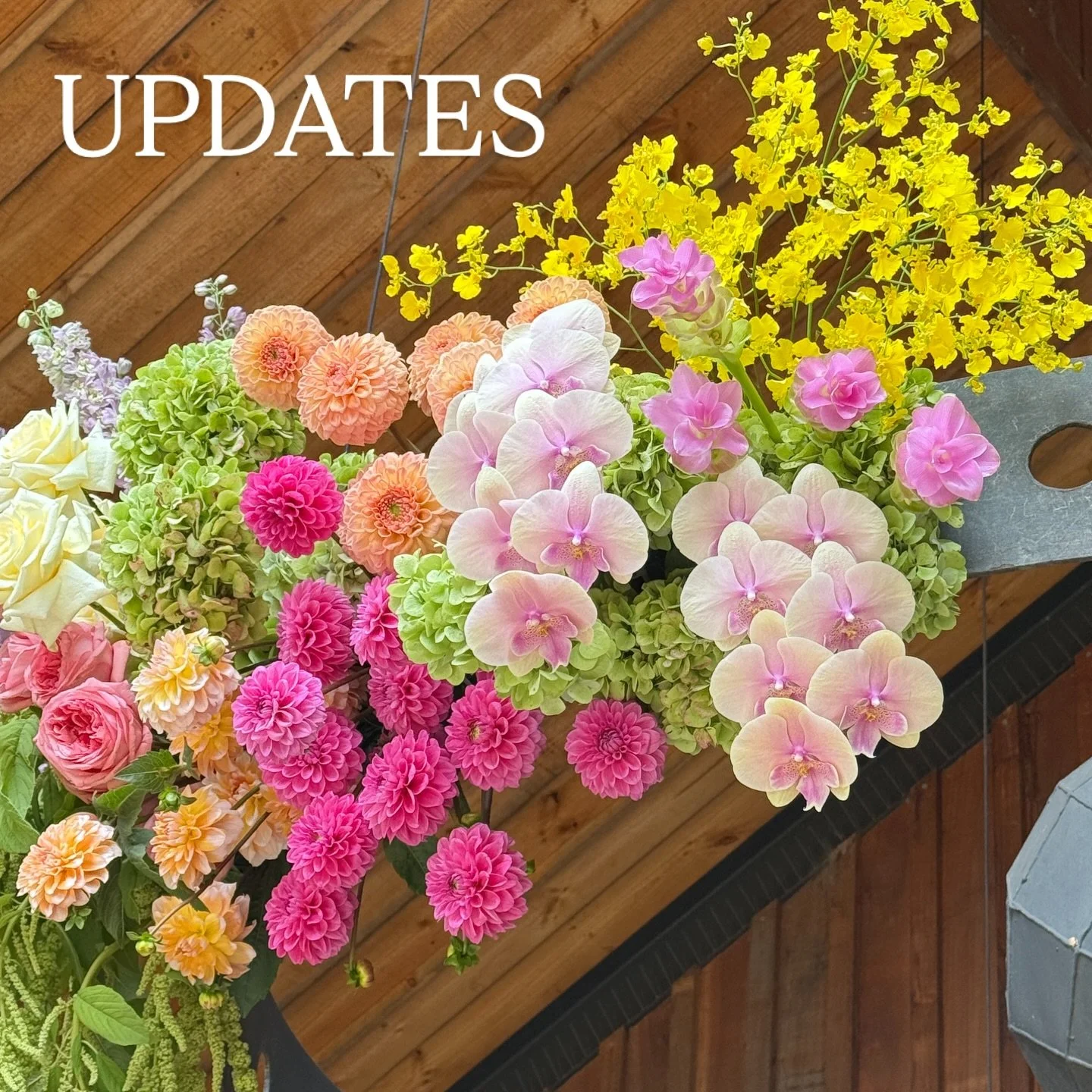 Little business (and life!) update 🤭✨