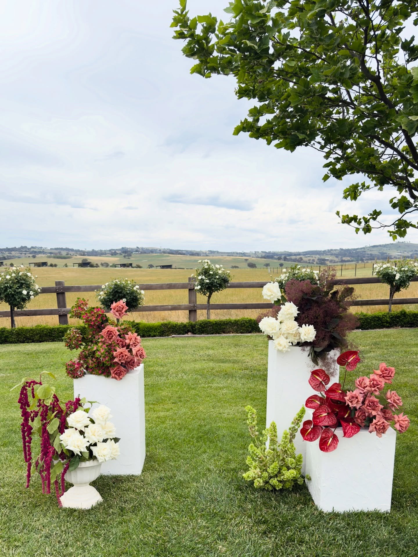 A beautiful ceremony followed by an easy going reception 🍾🥂