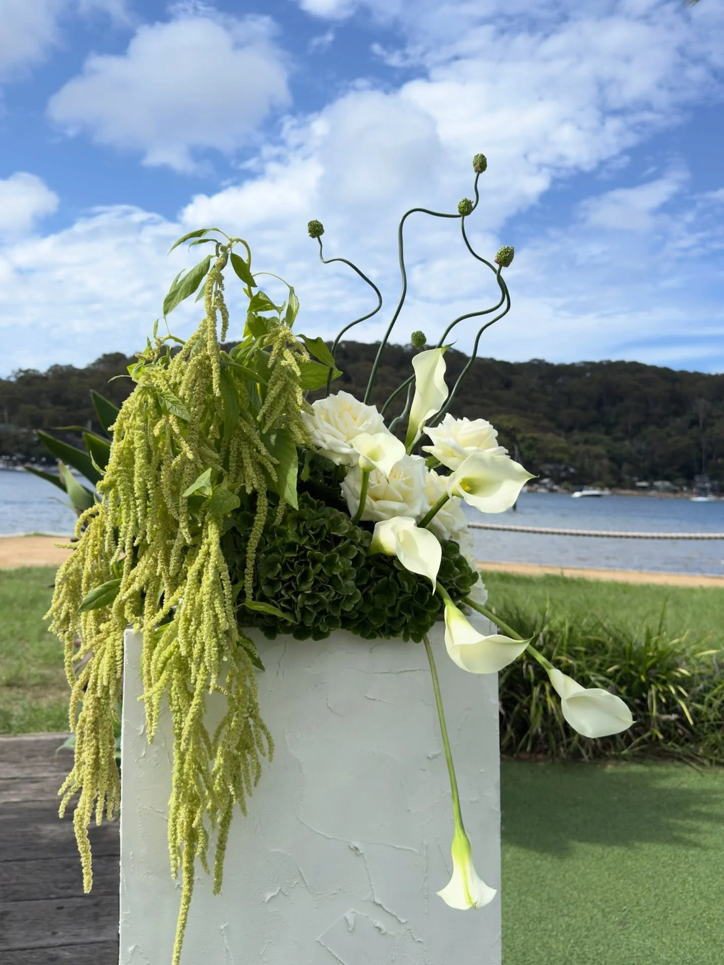 Crisp whites, fresh greens, and a ceremony moment that felt effortlessly refined at Pasadena for Maddie &amp; Jack 🌿✨ 

Venue @pasadenasydney