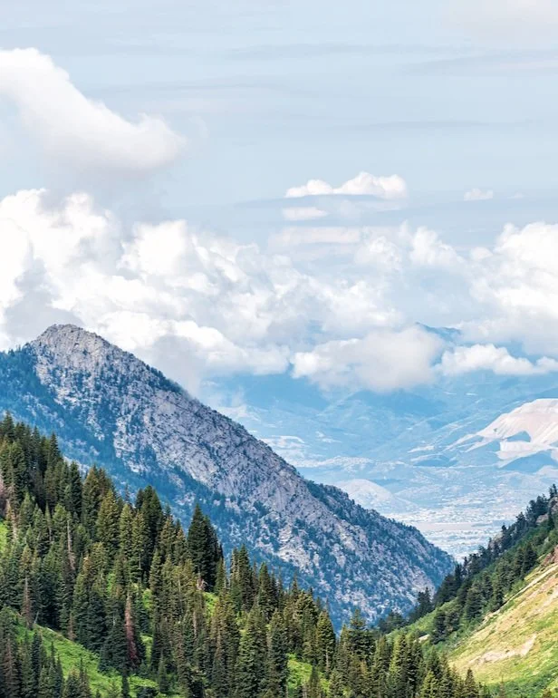 Scenic view of snowy mountain peaks and green forested slopes under a cloudy sky.