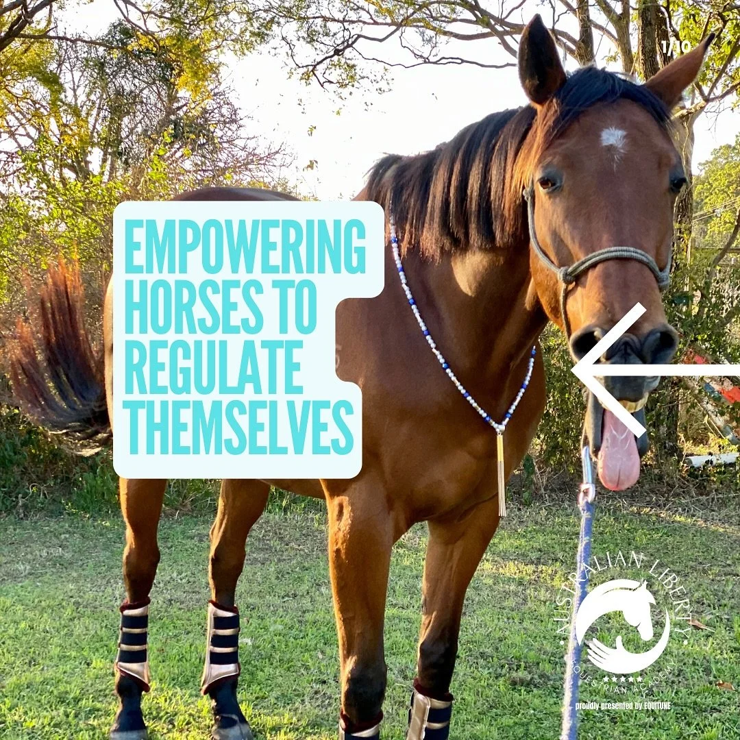 Did you know your horse has the ability to regulate their own nervous system&mdash;if we give them the chance?

No treat will ever be as powerful as the neurotransmitters their brain releases when they down-regulate naturally.

✨ Here&rsquo;s the sci