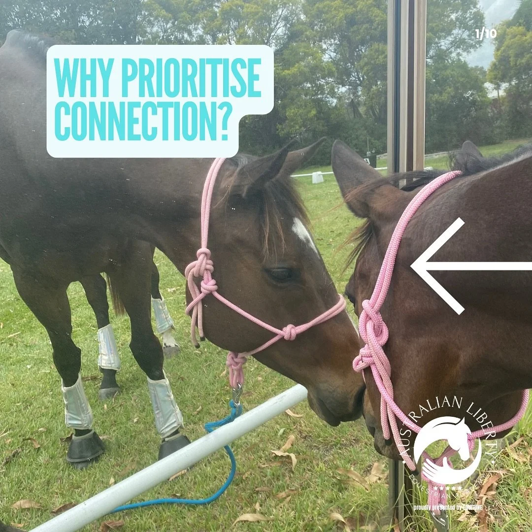 Connection with horses isn&rsquo;t built in a single &ldquo;magic&rdquo; moment &mdash; it&rsquo;s the small, consistent actions that create trust over time.

Science shows us:
🐴 Horses remember how we make them feel.
🧠 Repetition rewires both hors