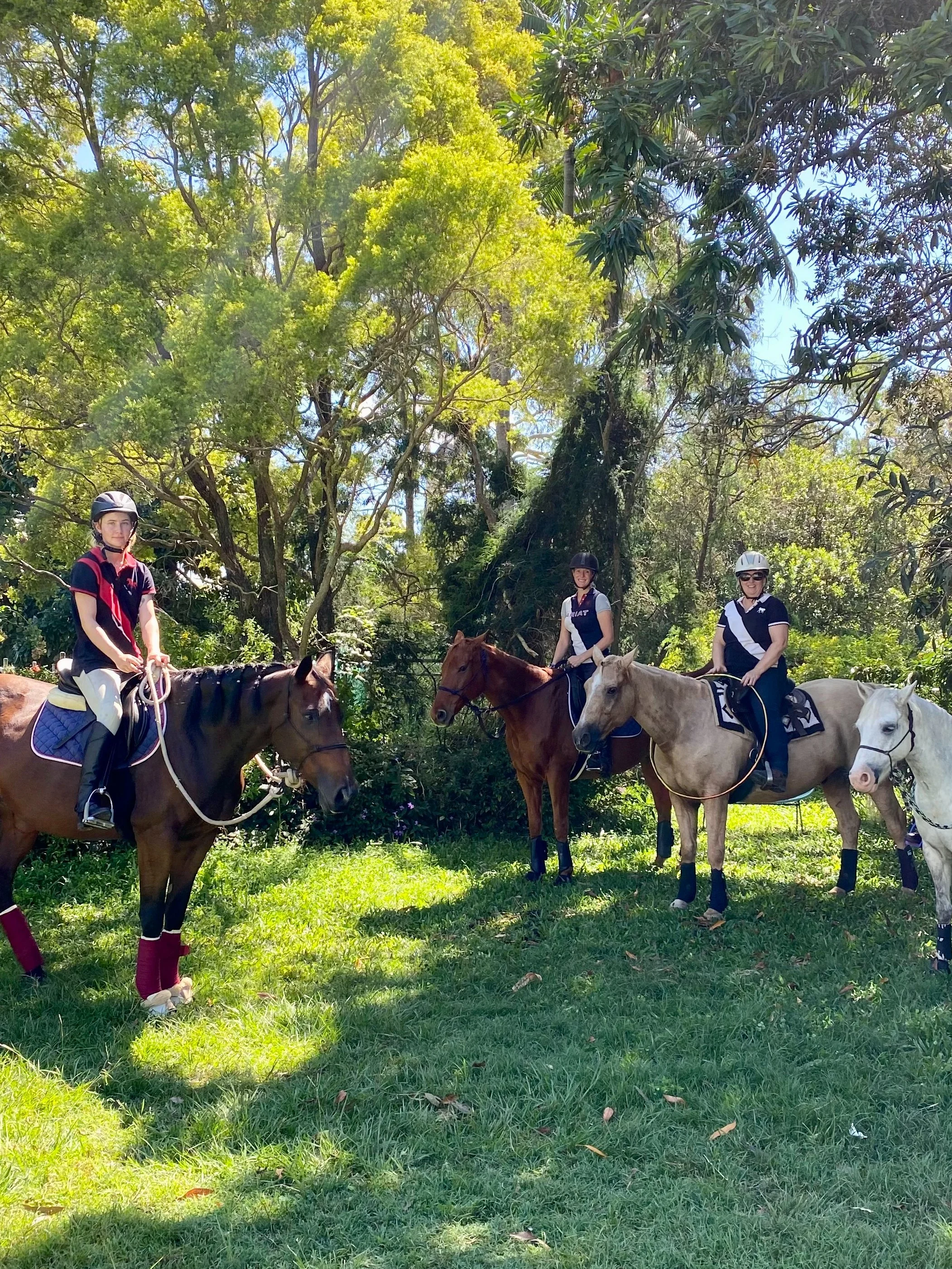 Community-oriented small group training session at Liberty Equestrian Academy, East Wardell NSW