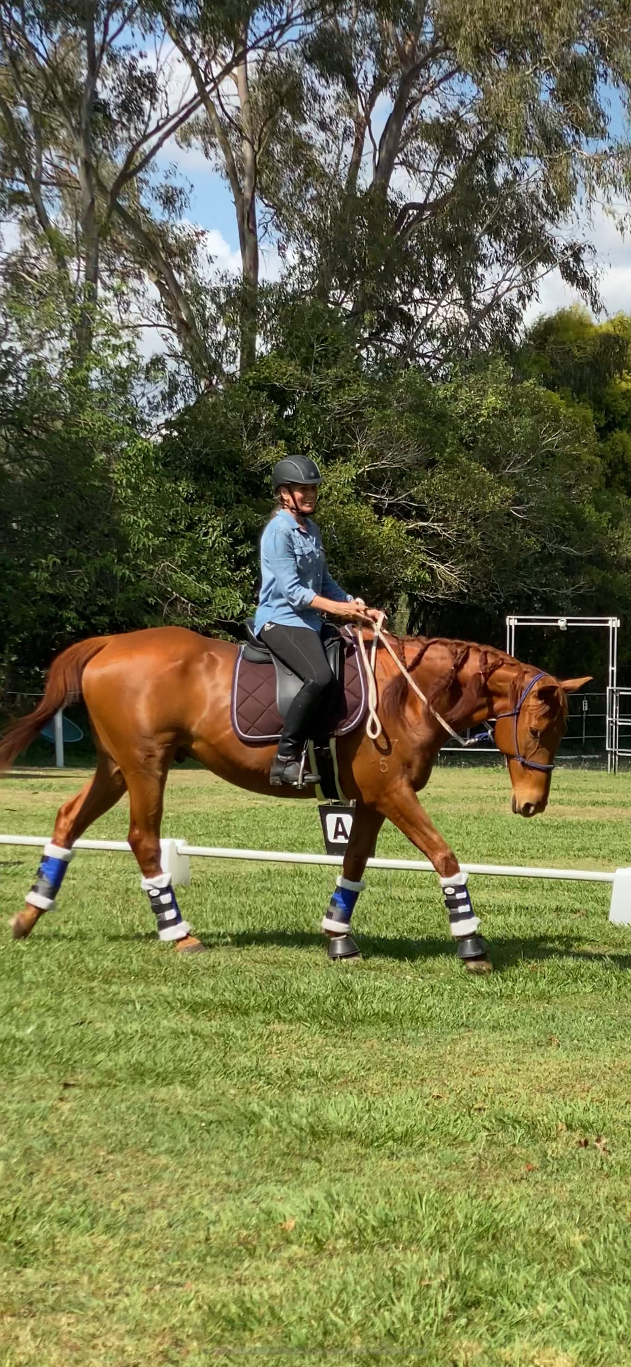 Adult rider deeply connecting through biomechanics-focused riding lessons at Liberty Equestrian Academy, Chandler Brisbane.