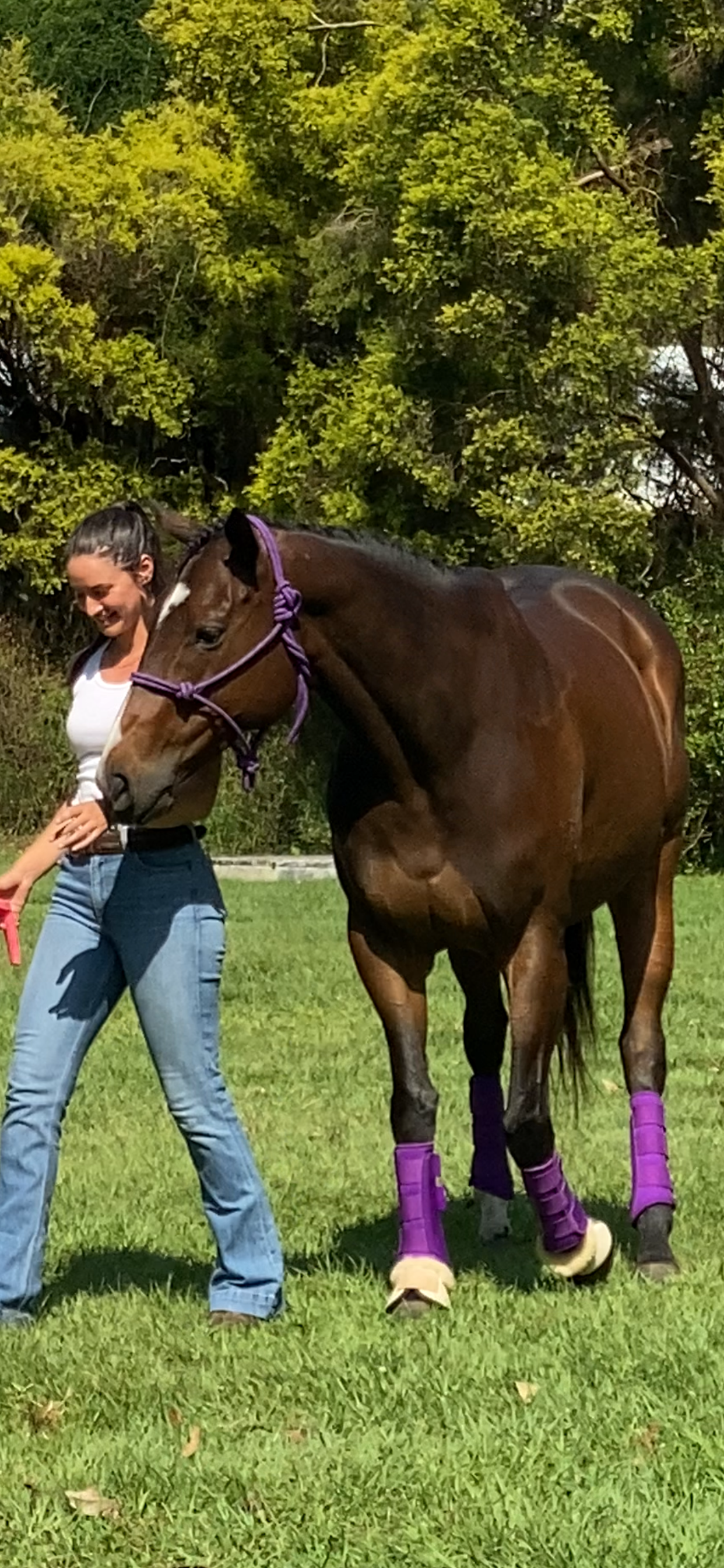 Community-oriented small group training session at Liberty Equestrian Academy, East Wardell NSW