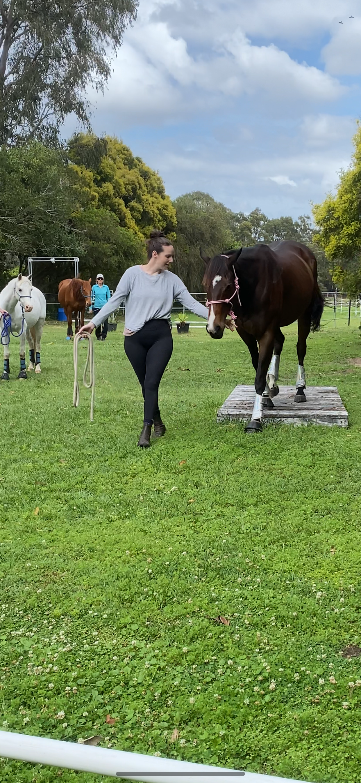 Reflective rider connecting deeply with horse during biomechanics-focused lesson, Liberty Equestrian Academy, East Wardell