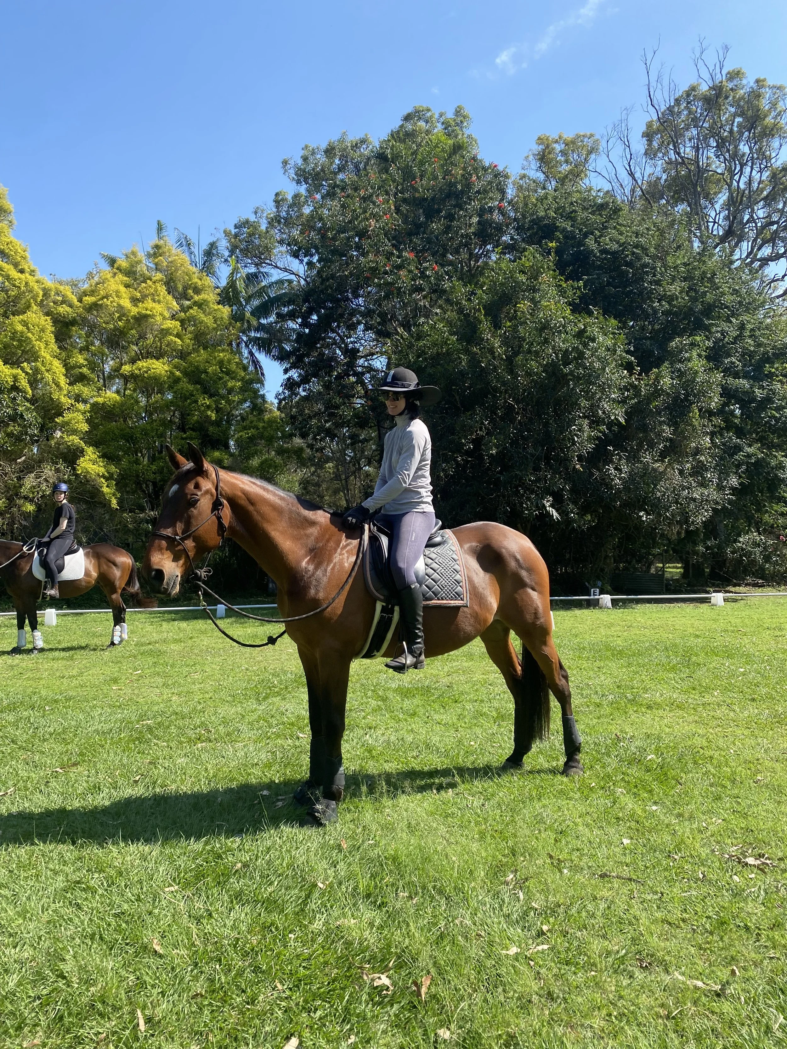 Horse-human harmony session emphasizing mutual respect at Liberty Equestrian Academy, Chandler Brisbane.