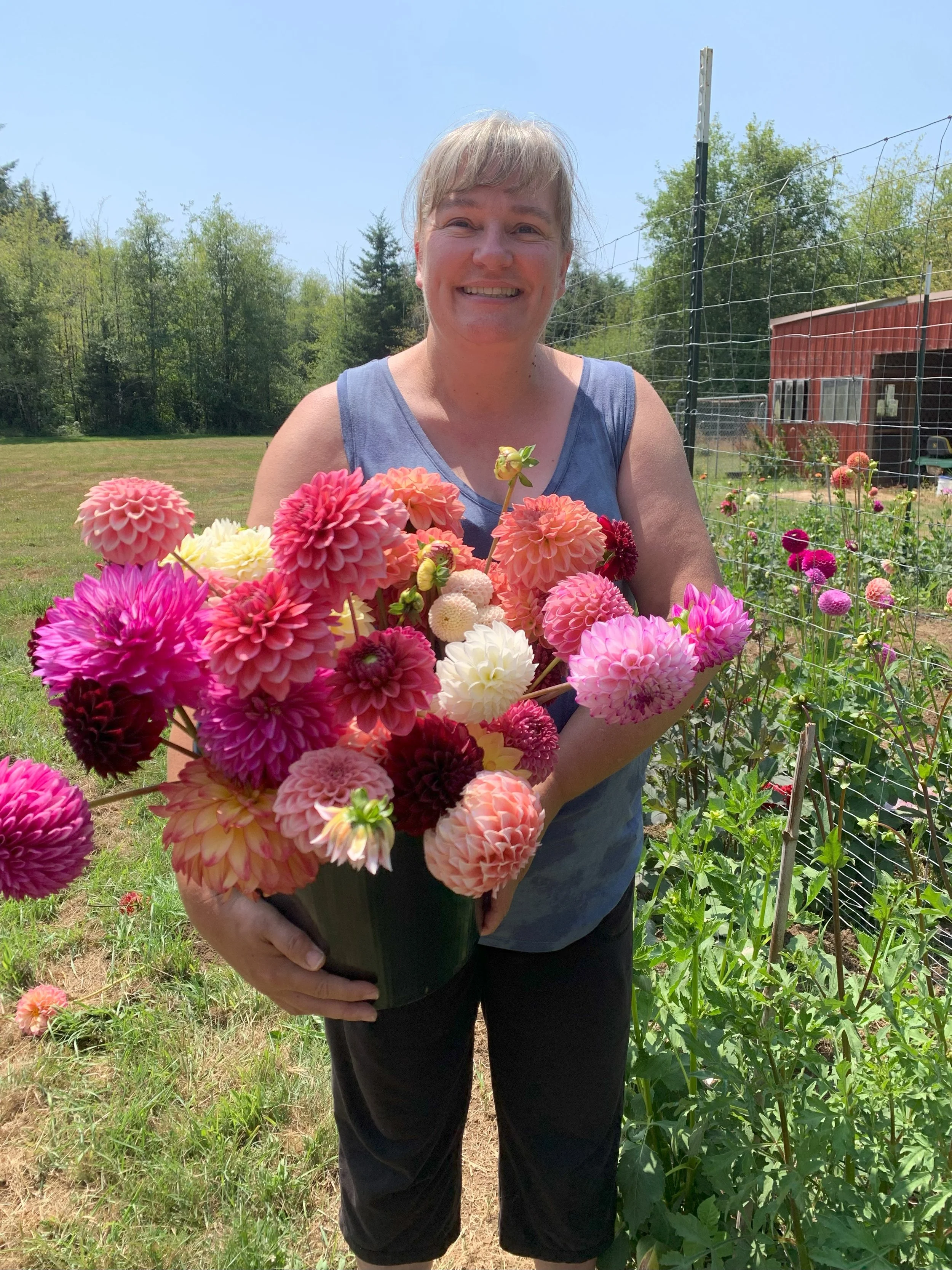 Dahlia Bouquet