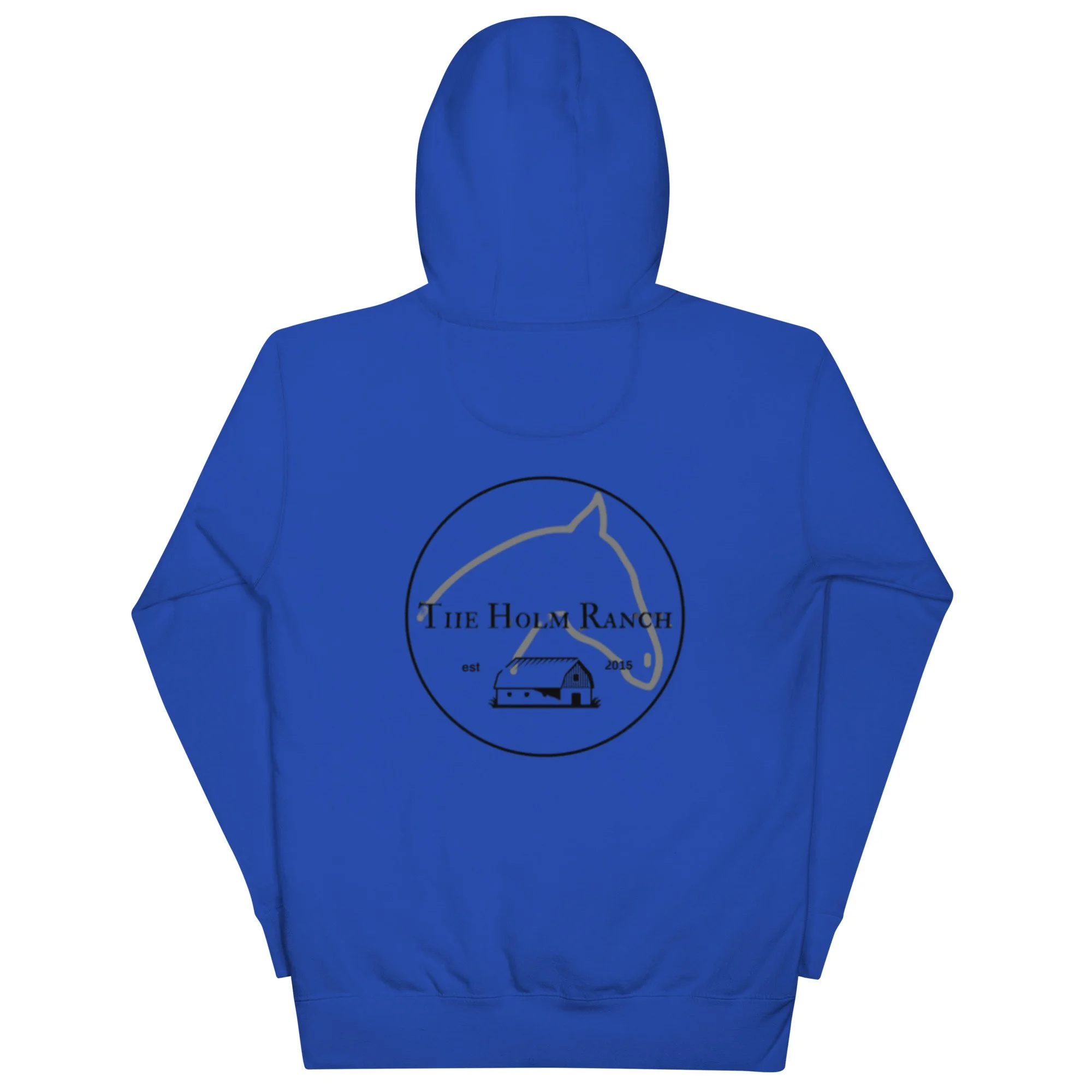 unisex-premium-hoodie-team-royal-back-6784a8790308e.jpg