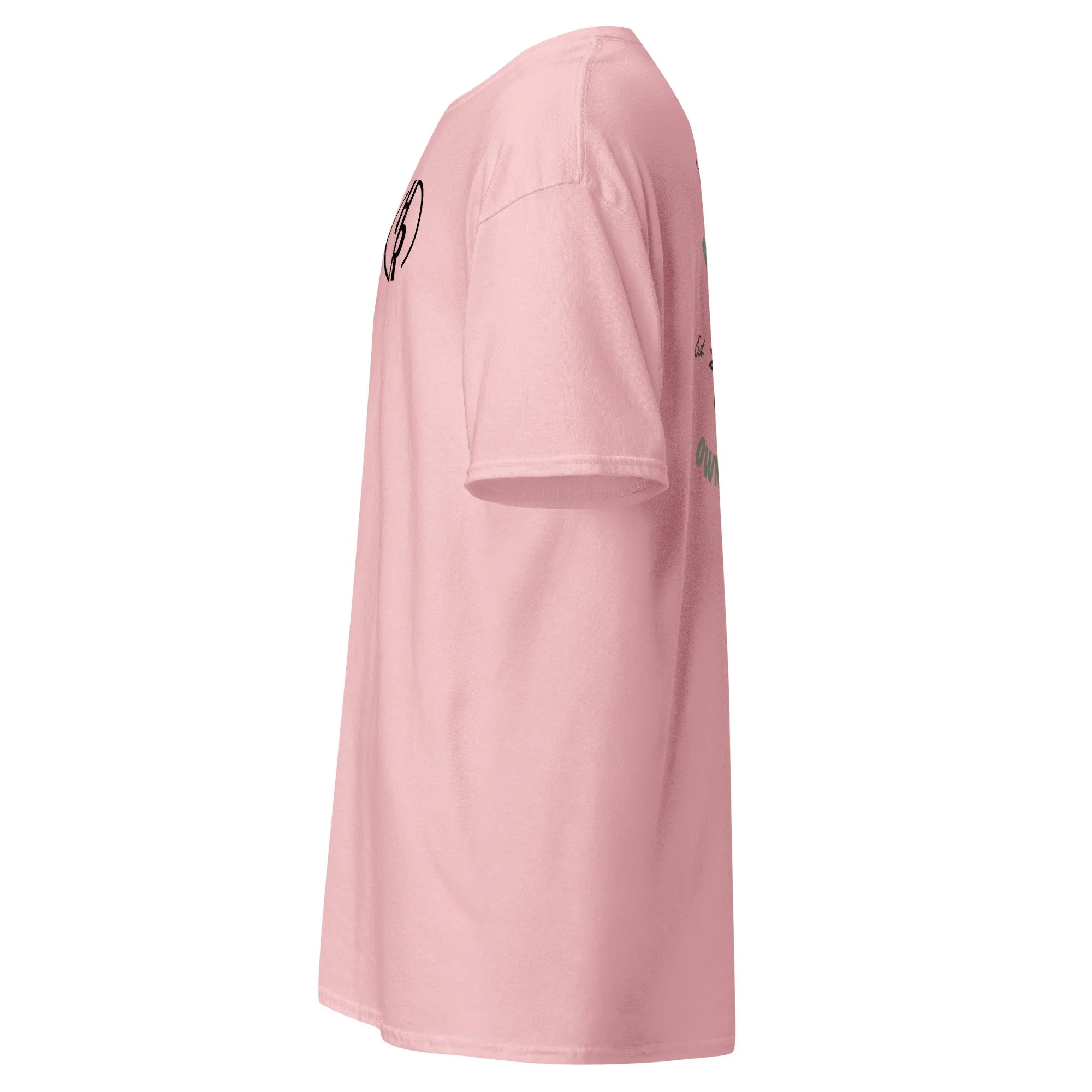unisex-classic-tee-light-pink-left-68059c948464f.jpg