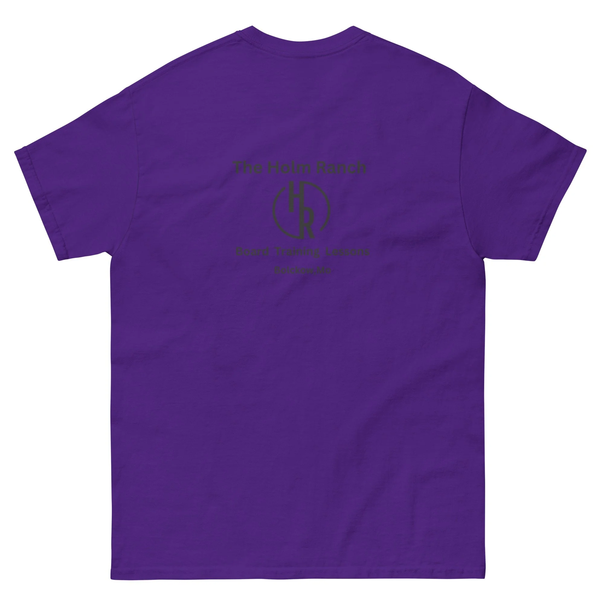 unisex-classic-tee-purple-back-6805a46adf709.jpg