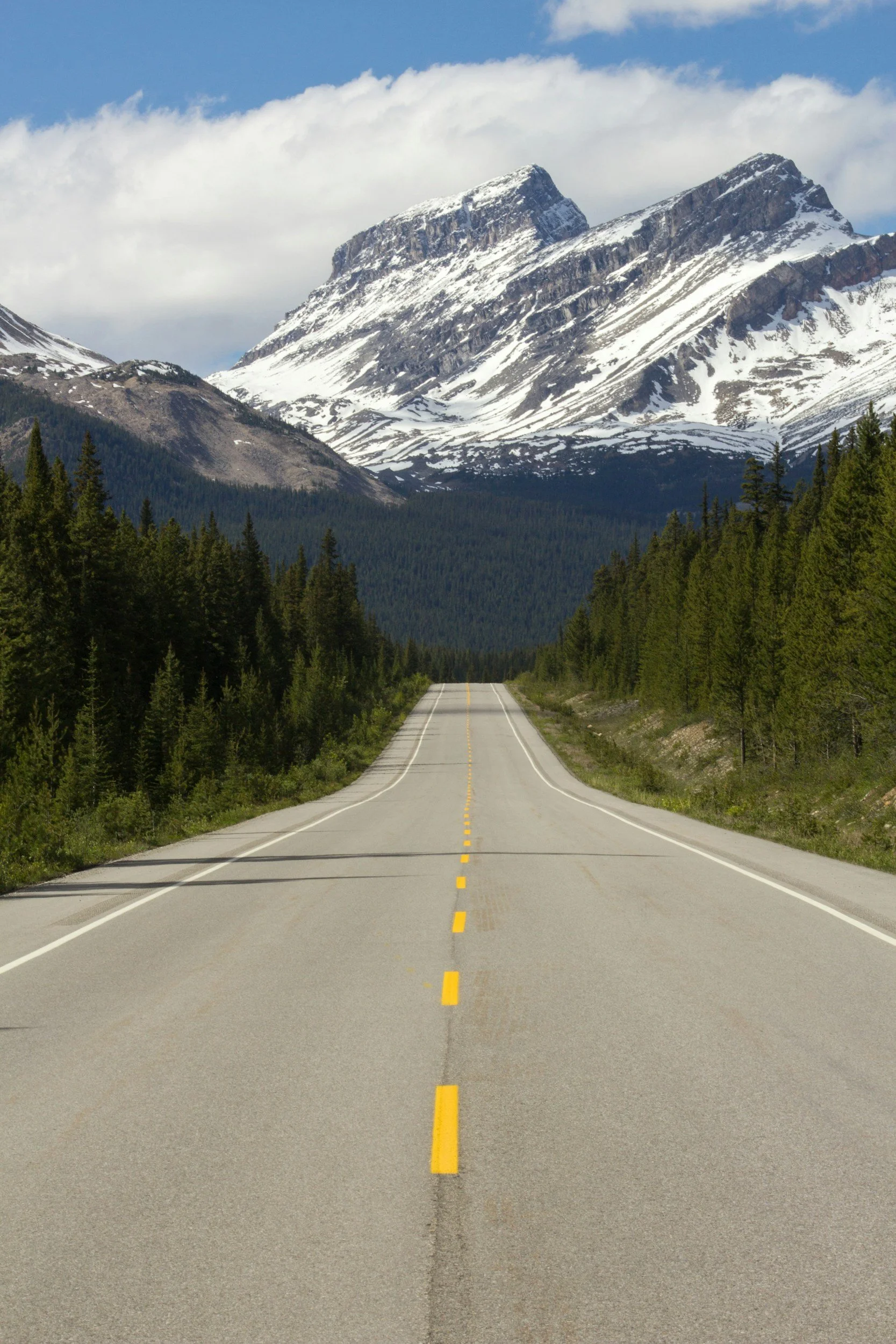 A tree-lined road with snow-capped mountains ahead.