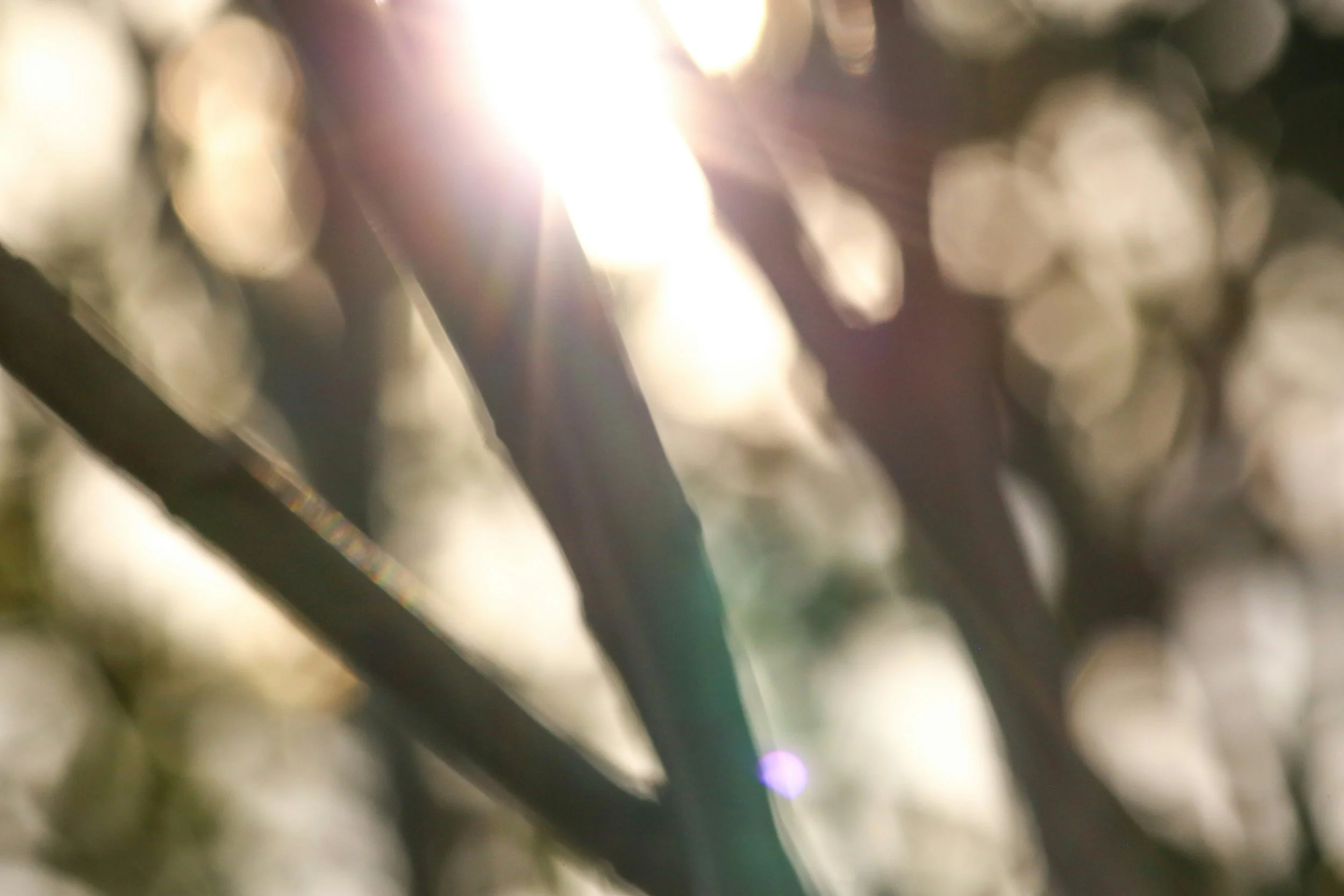 Summer: Slow Season, or Intensive Season?
