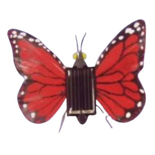 Solarschmetterling